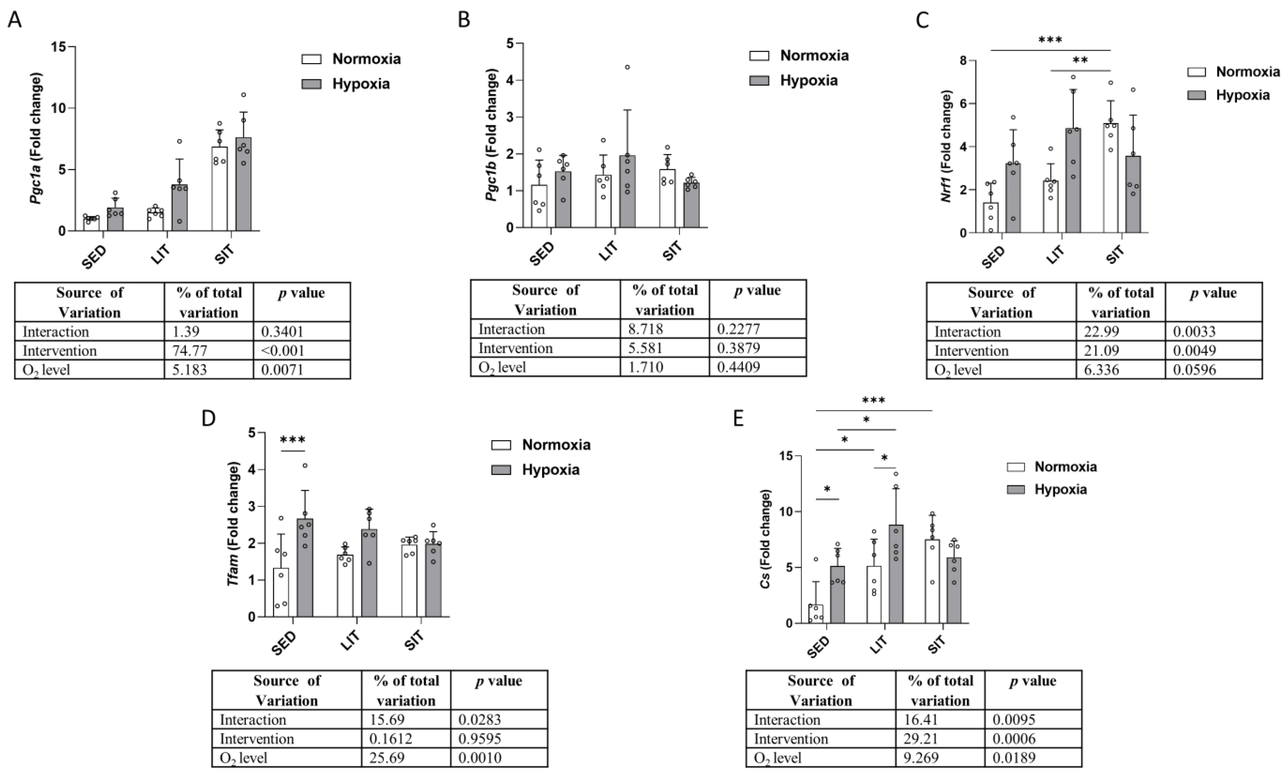 Metabolites 13 01103 g006