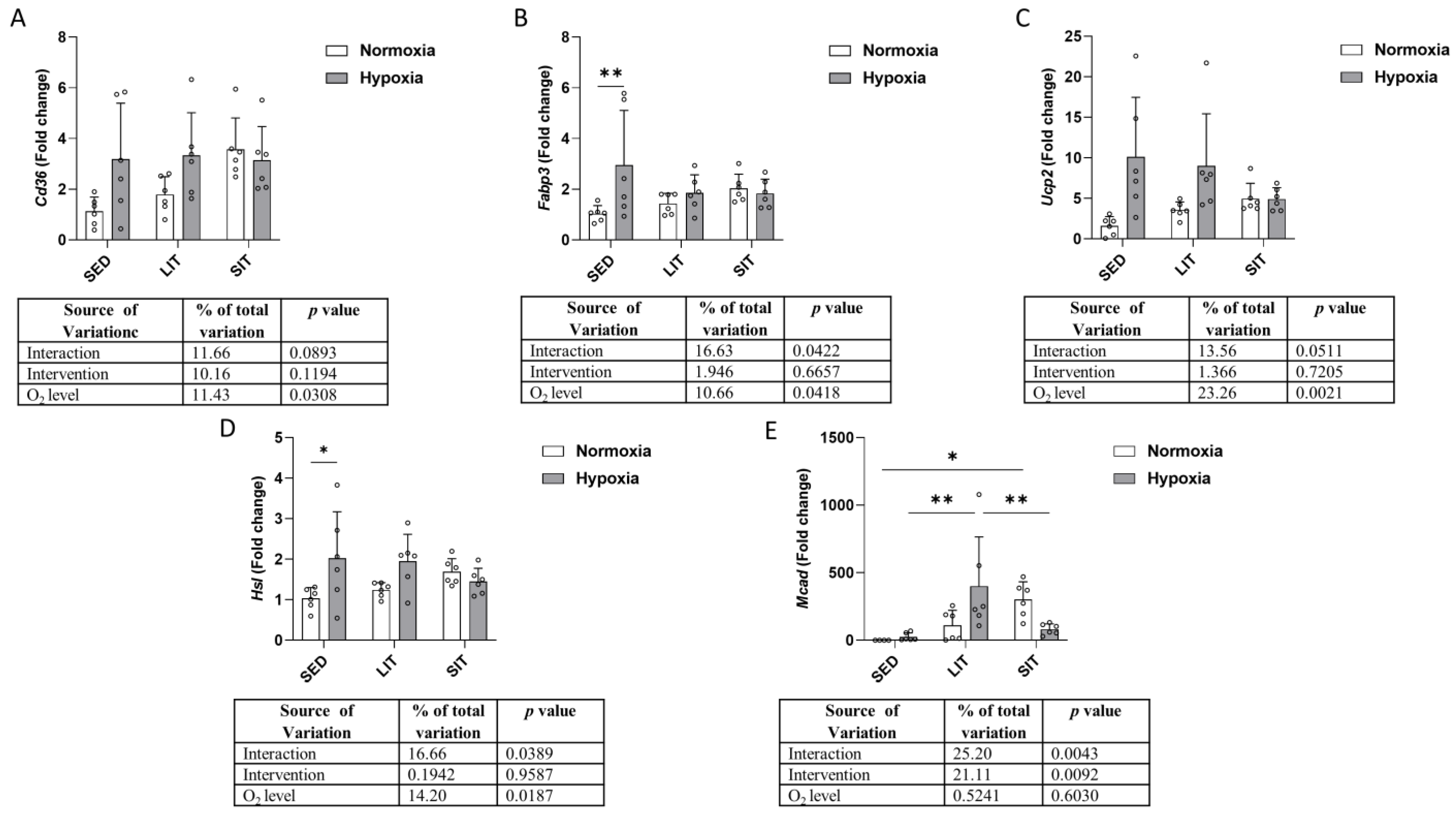 Metabolites 13 01103 g008