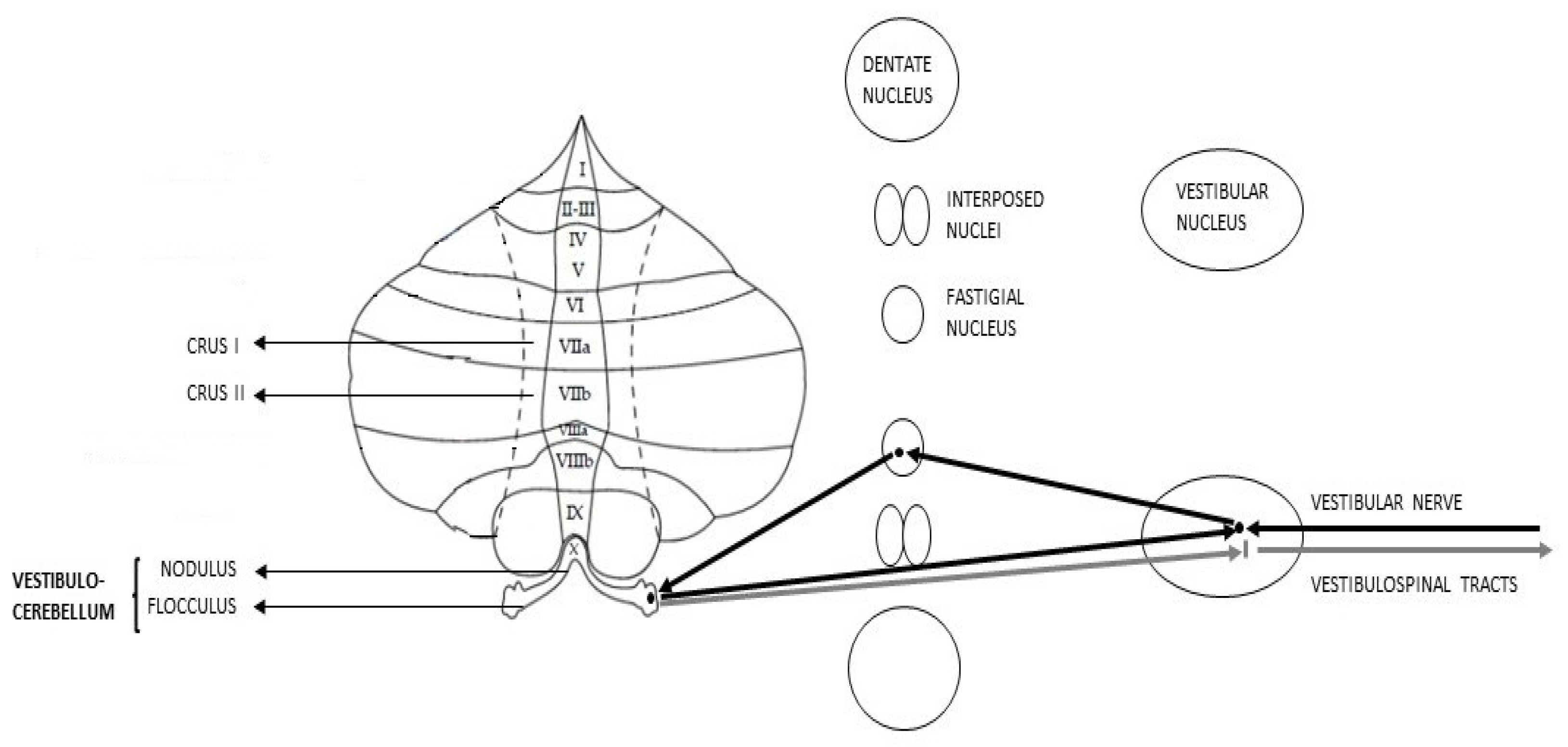 Metabolites 13 01113 g001