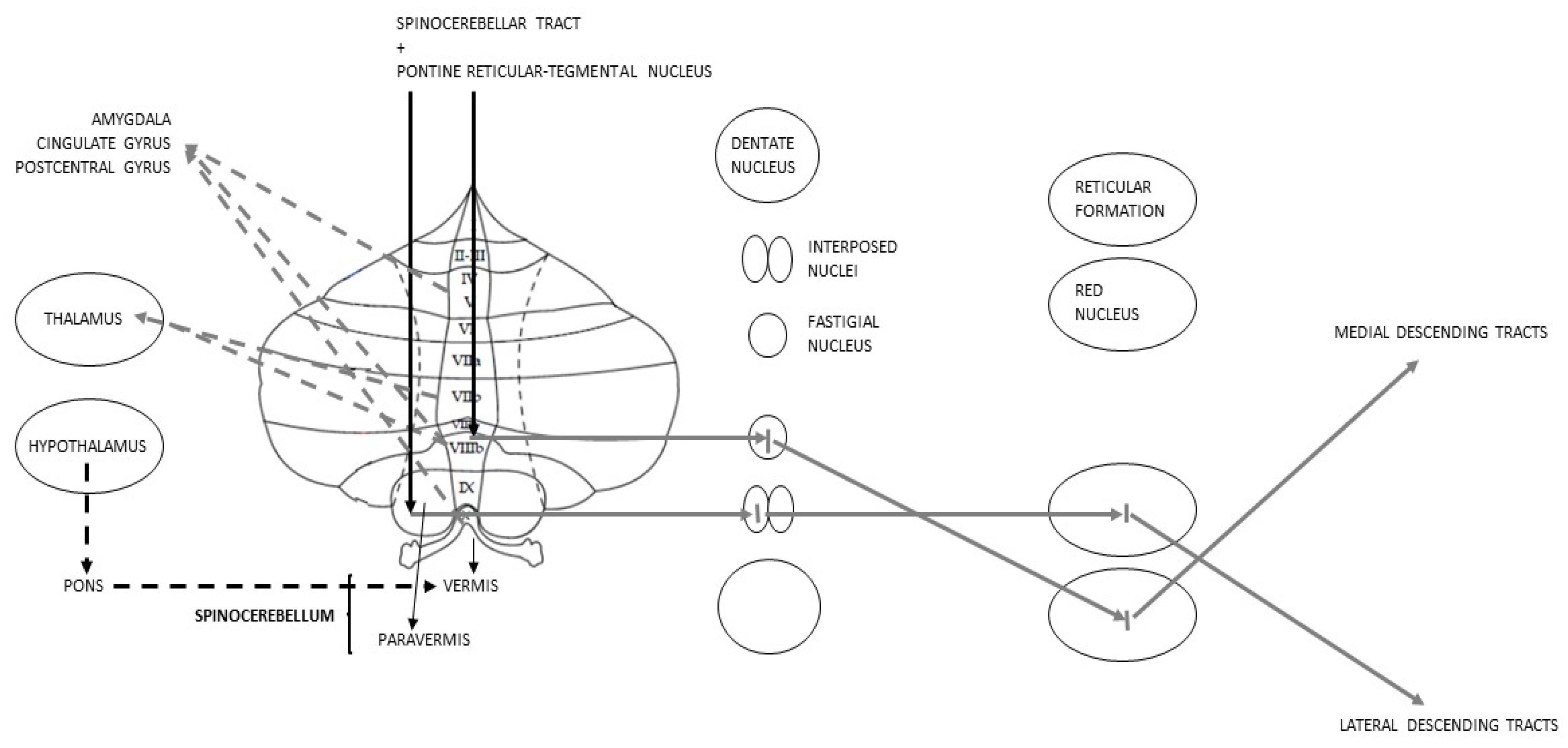 Metabolites 13 01113 g003