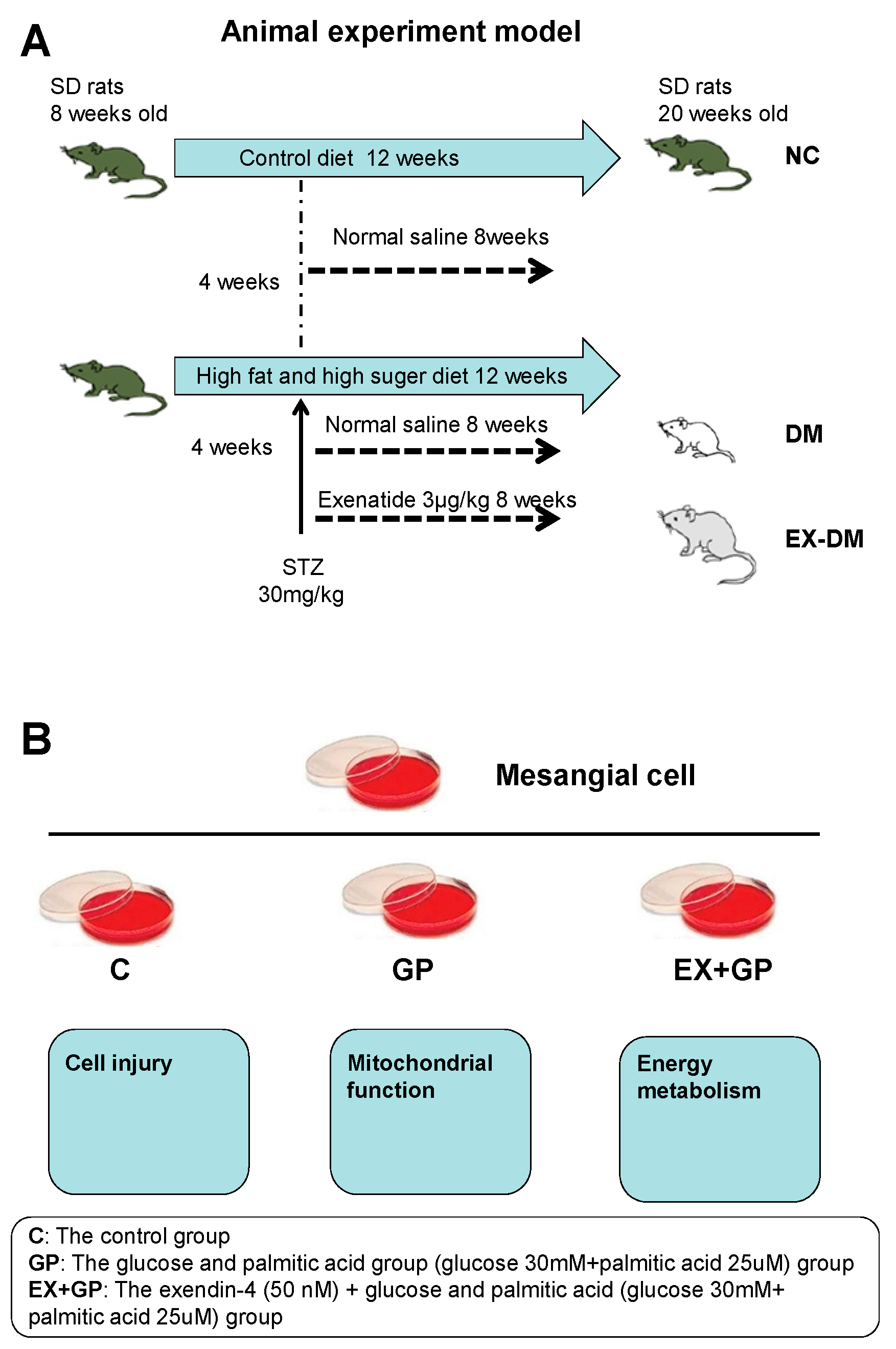 Metabolites 13 01121 g001 Metabolites 13 01121 g001