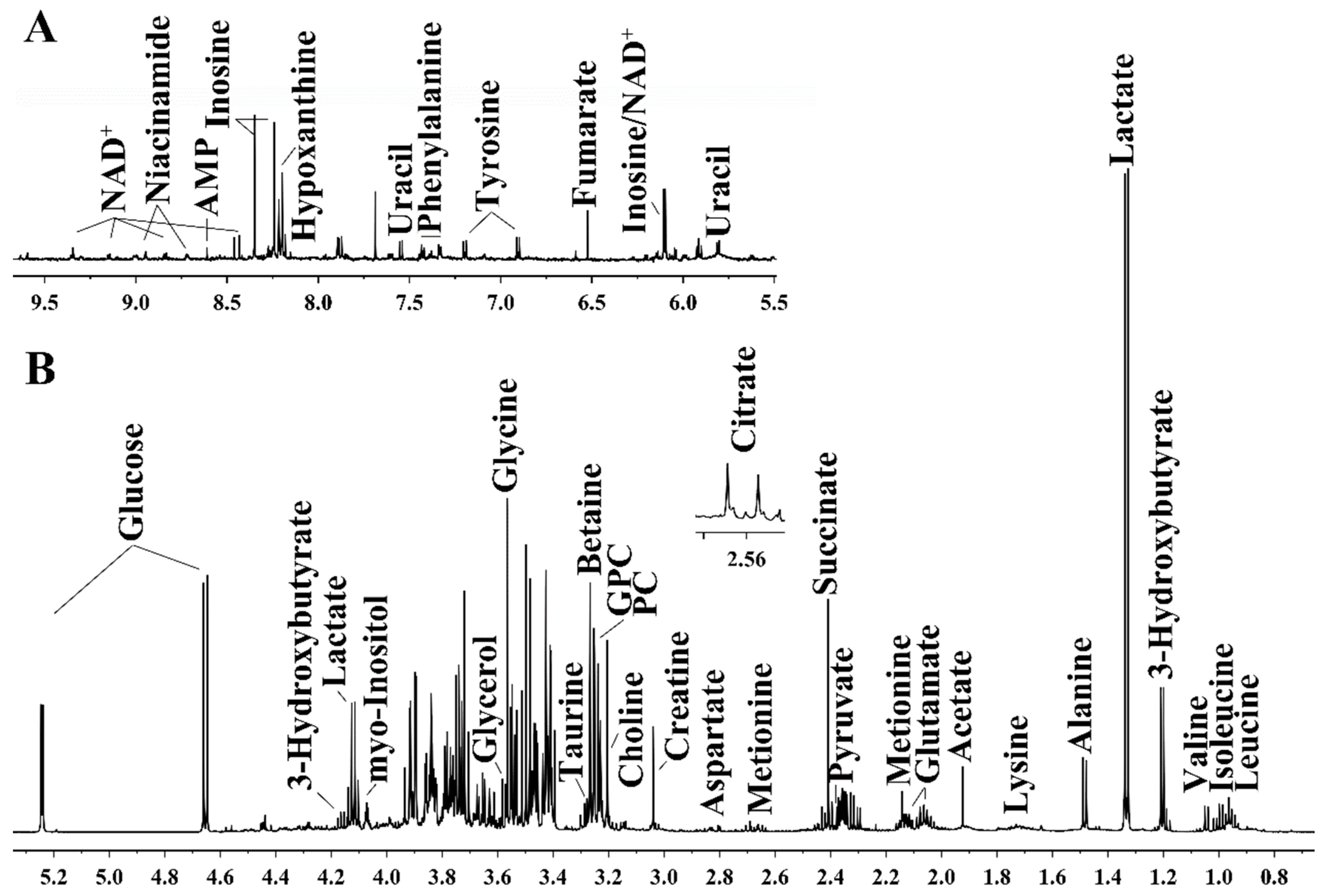 Metabolites 13 01121 g003 Metabolites 13 01121 g003