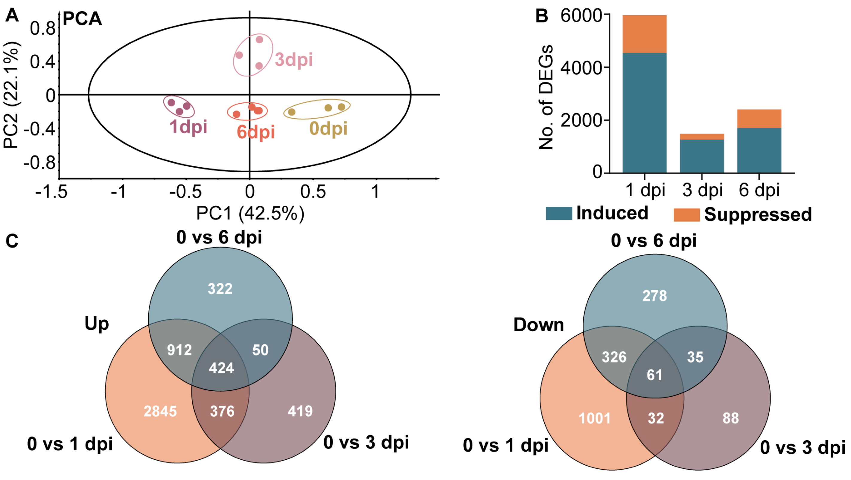 Metabolites 13 01122 g005