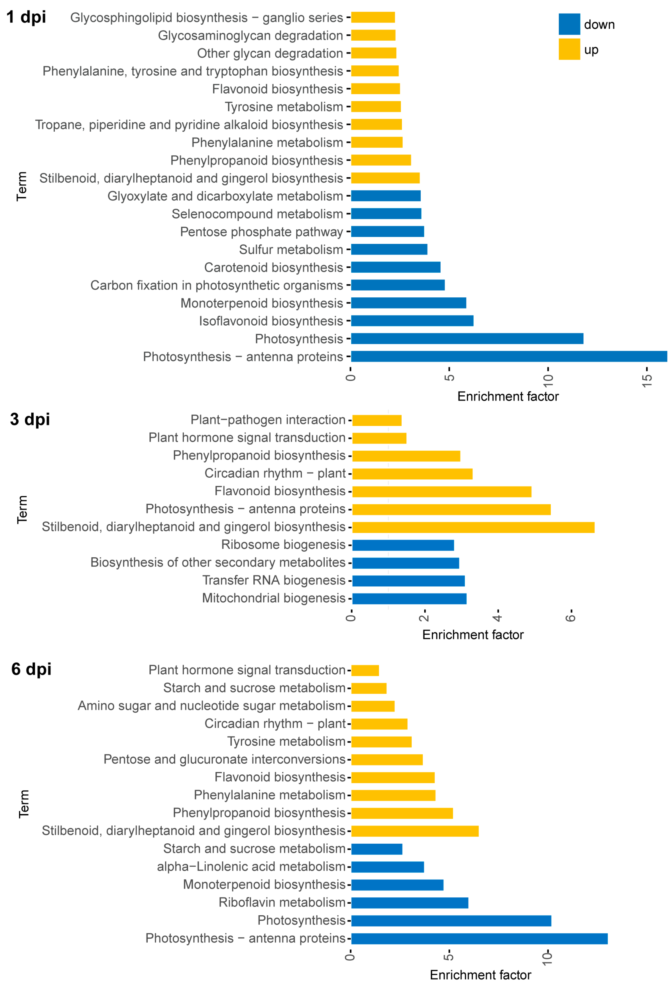 Metabolites 13 01122 g006