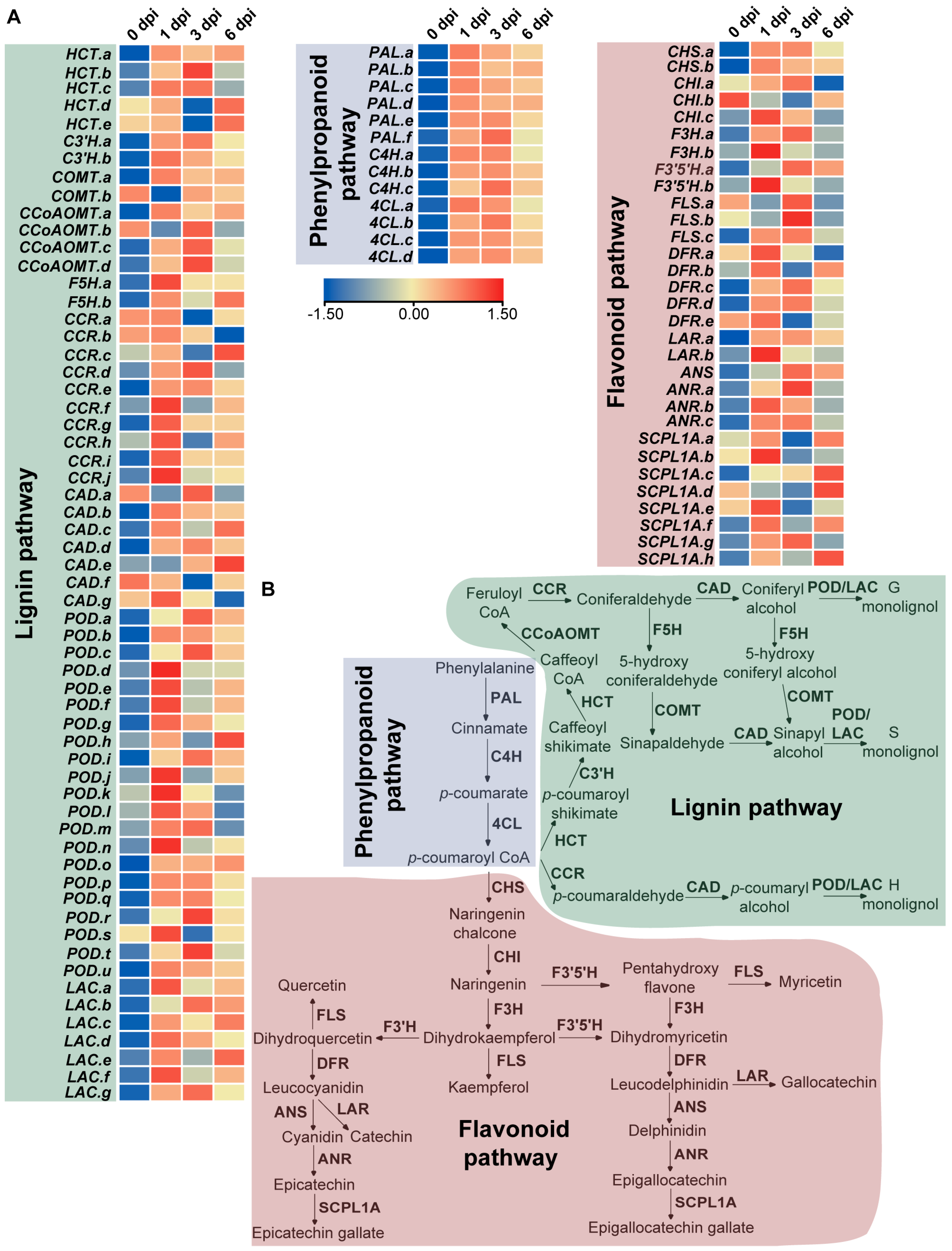 Metabolites 13 01122 g007