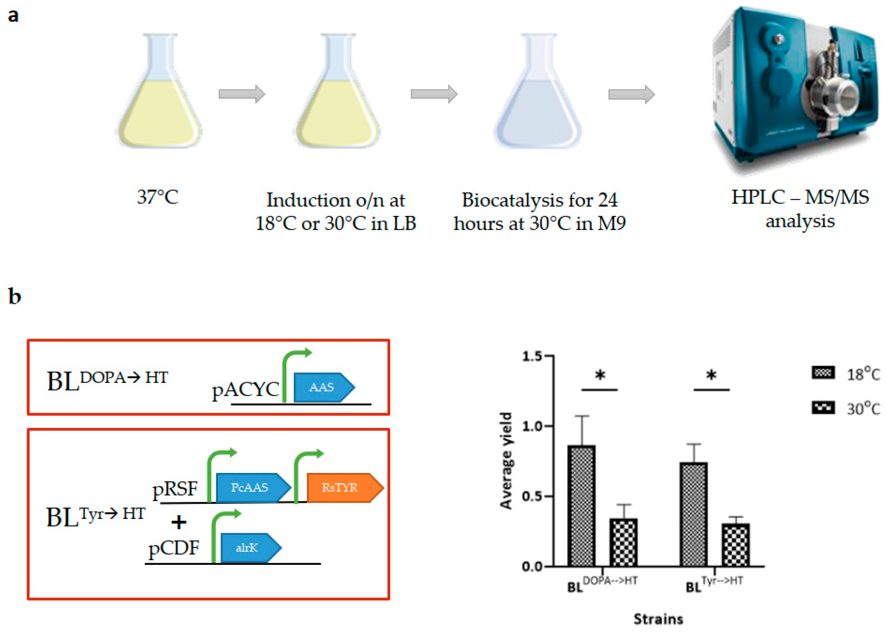 Metabolites 13 01126 g002