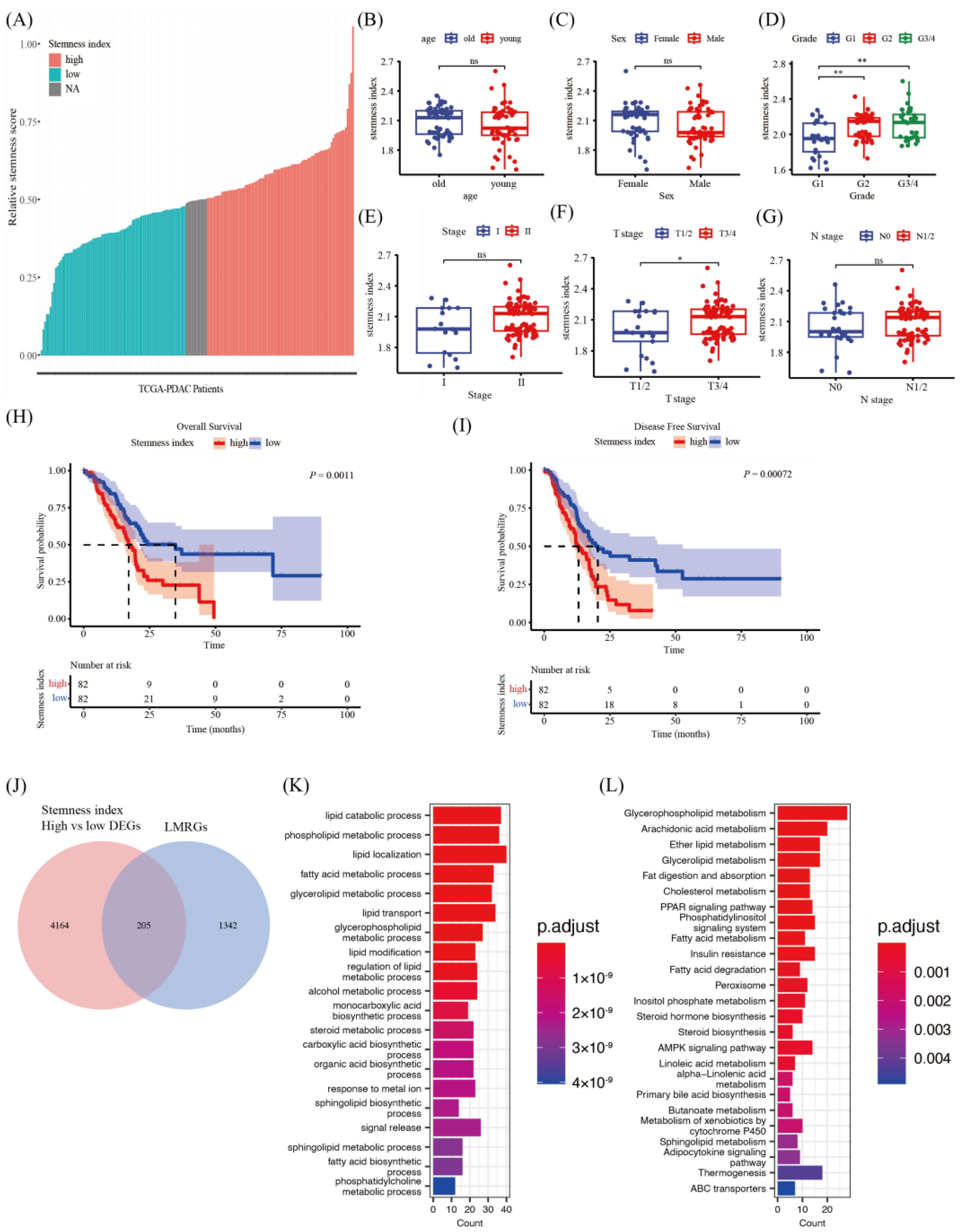 Metabolites 13 01132 g001