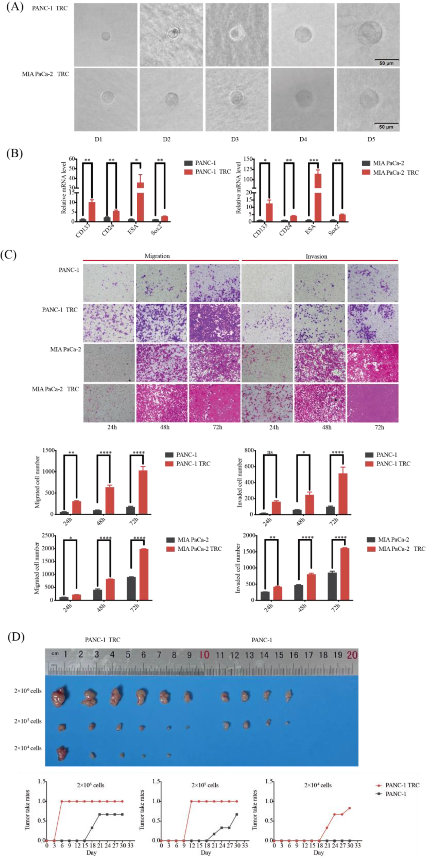 Metabolites 13 01132 g002