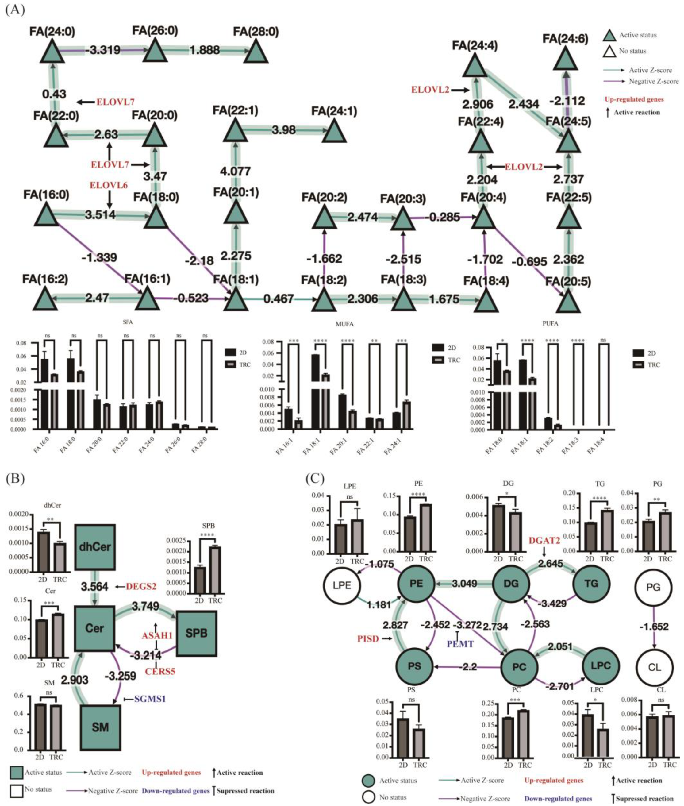 Metabolites 13 01132 g004