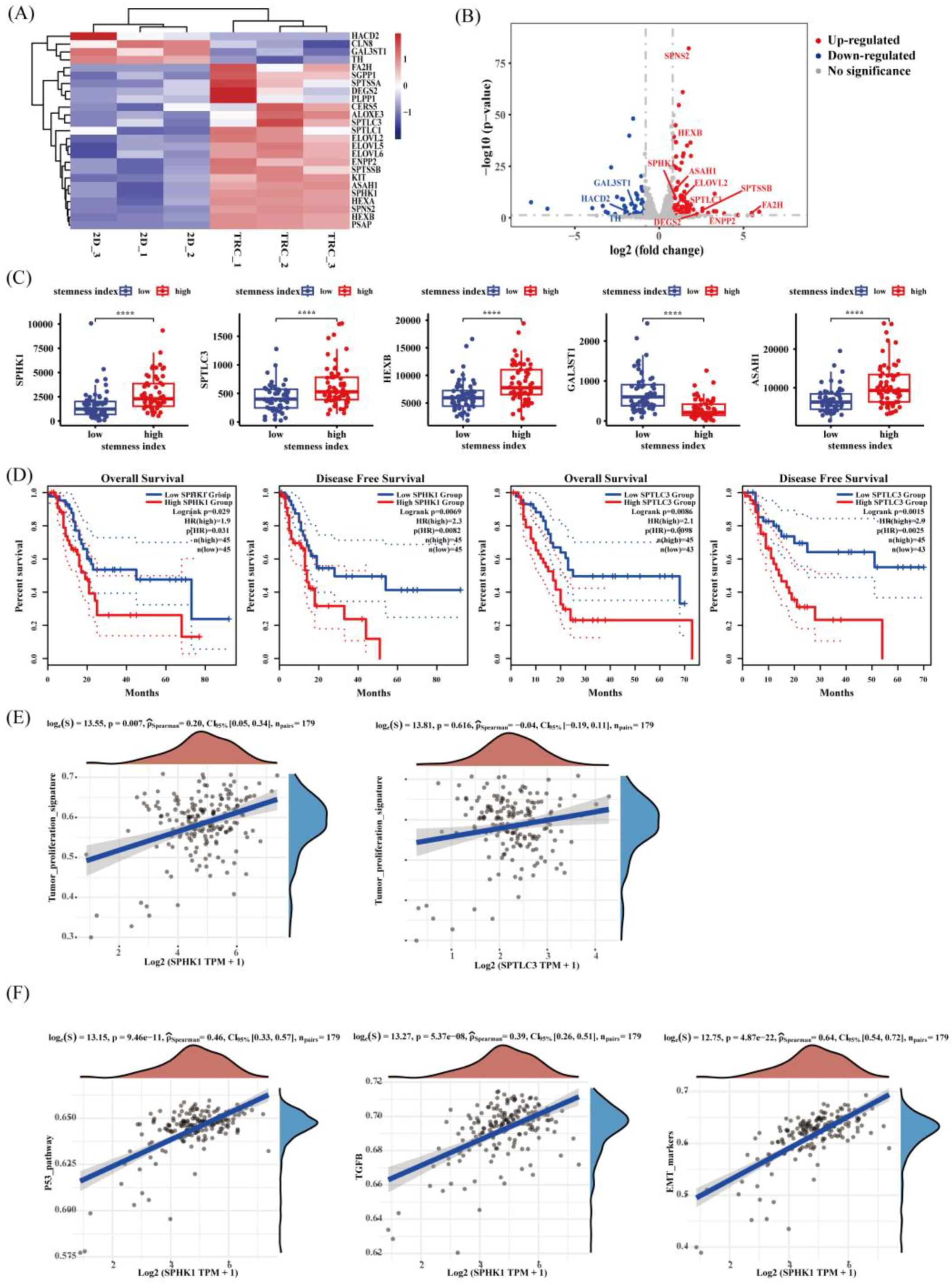 Metabolites 13 01132 g005