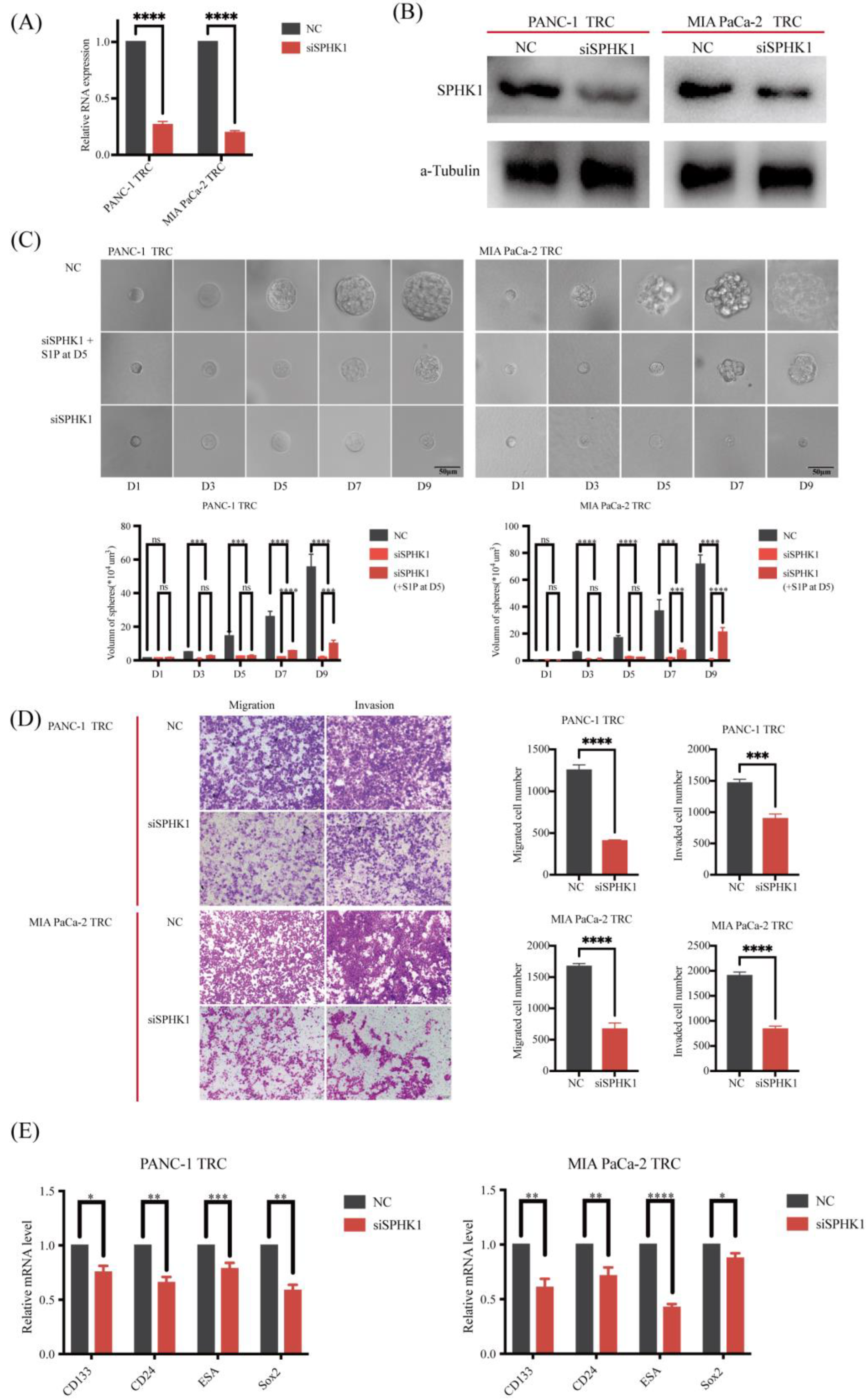 Metabolites 13 01132 g006