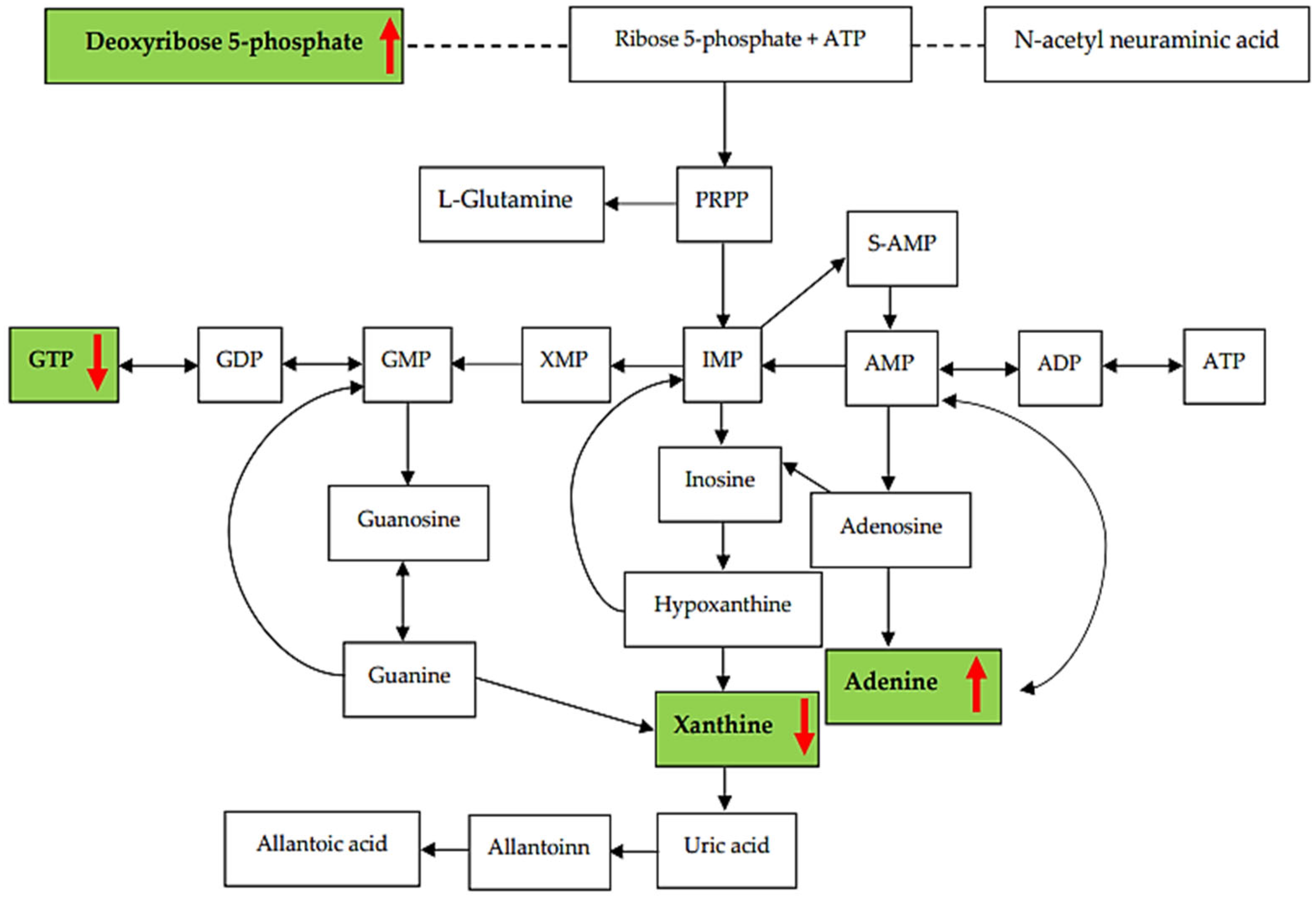 Metabolites 13 01135 g007