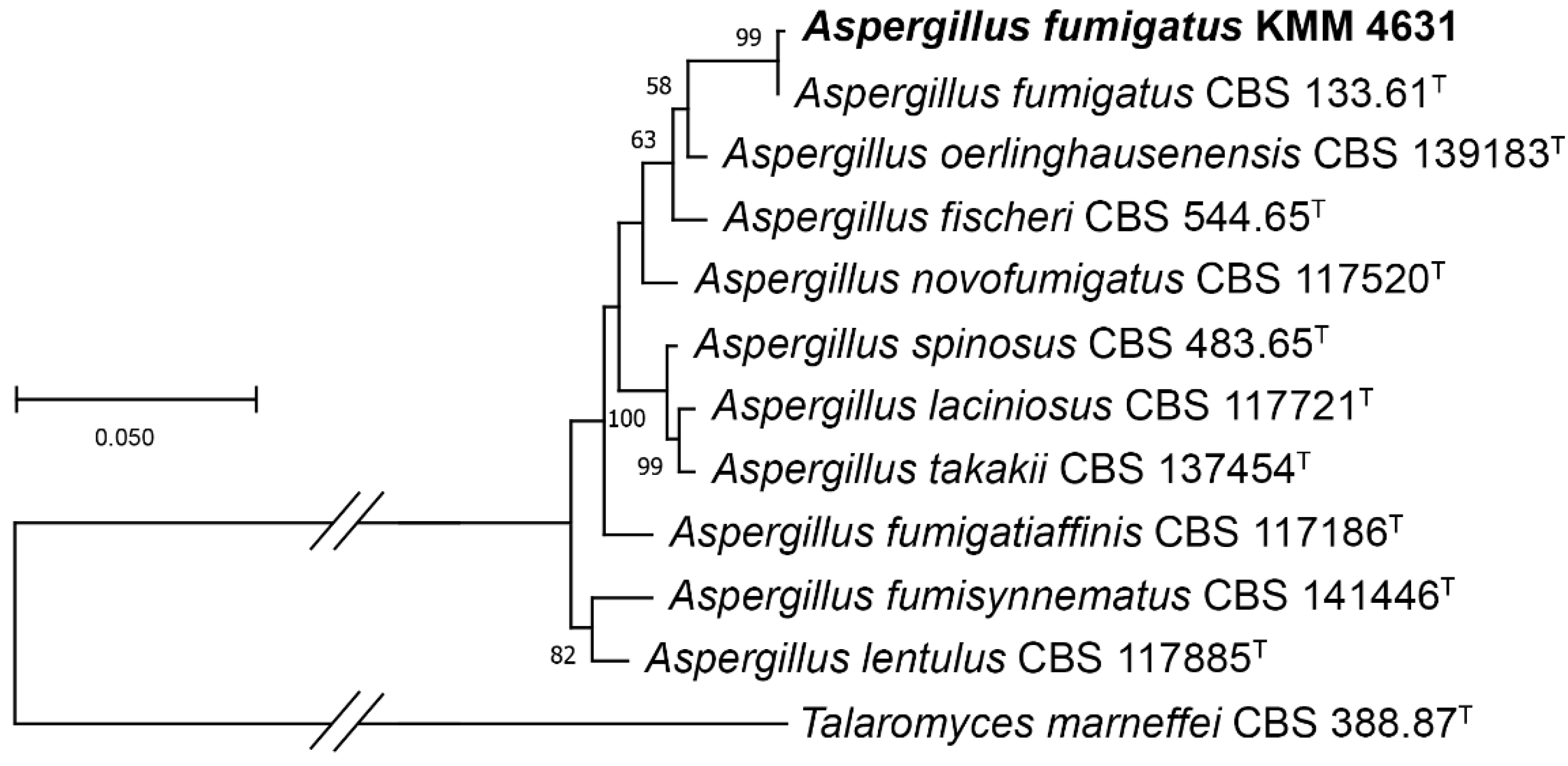 Metabolites 13 01138 g001