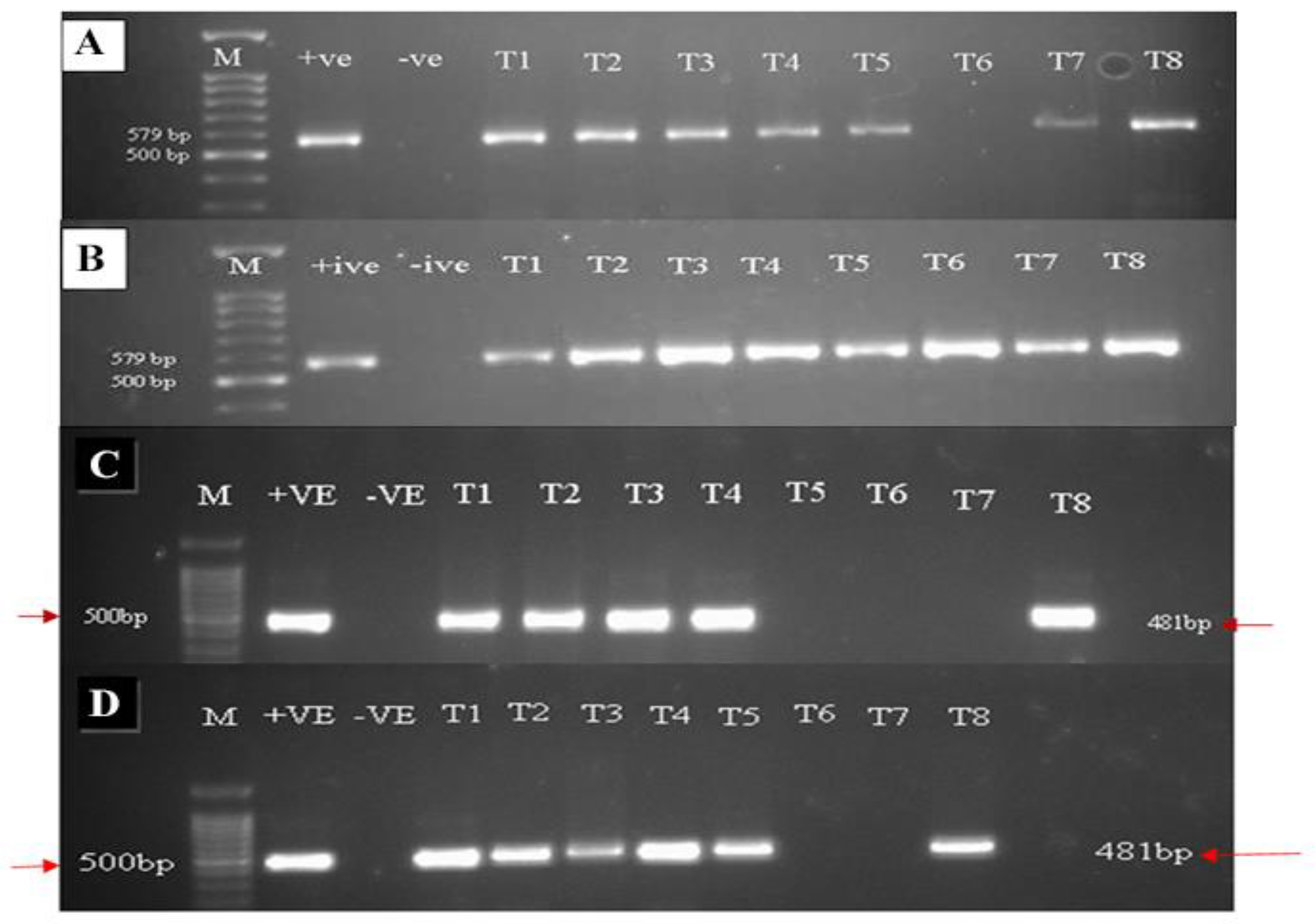 Metabolites 13 01148 g002 Metabolites 13 01148 g002