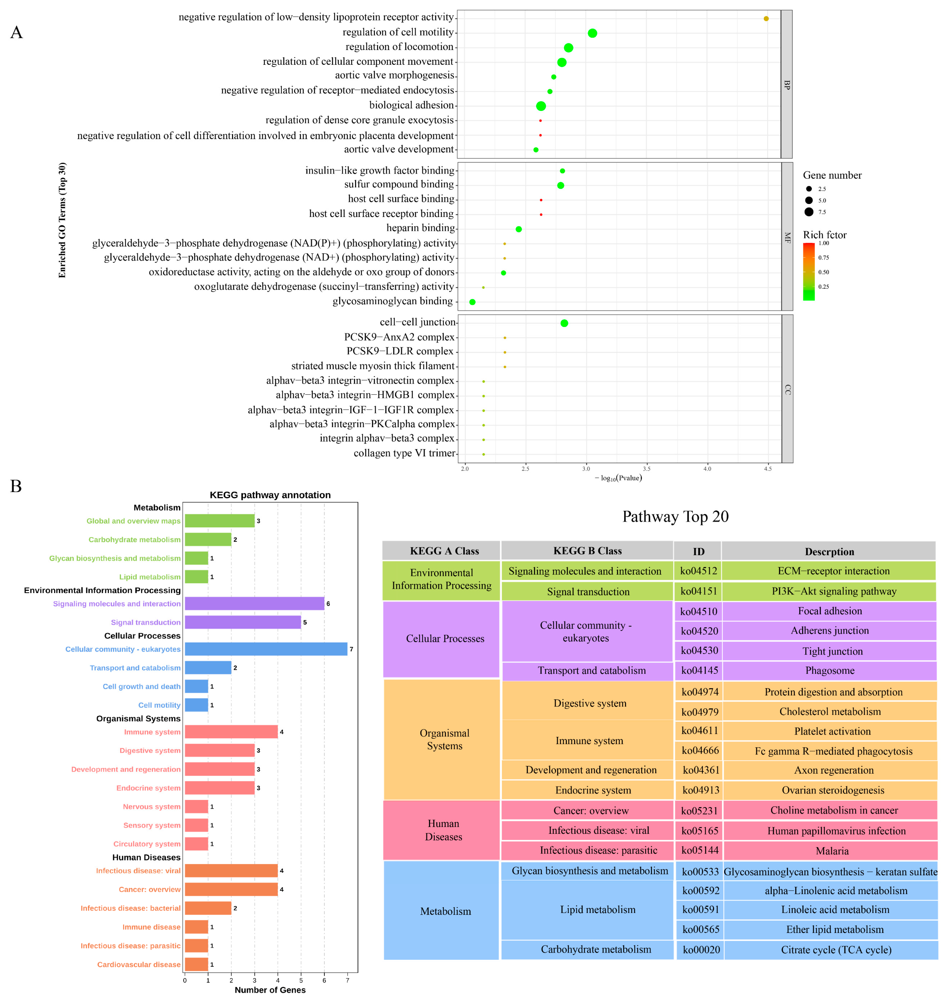 Metabolites 13 01149 g004