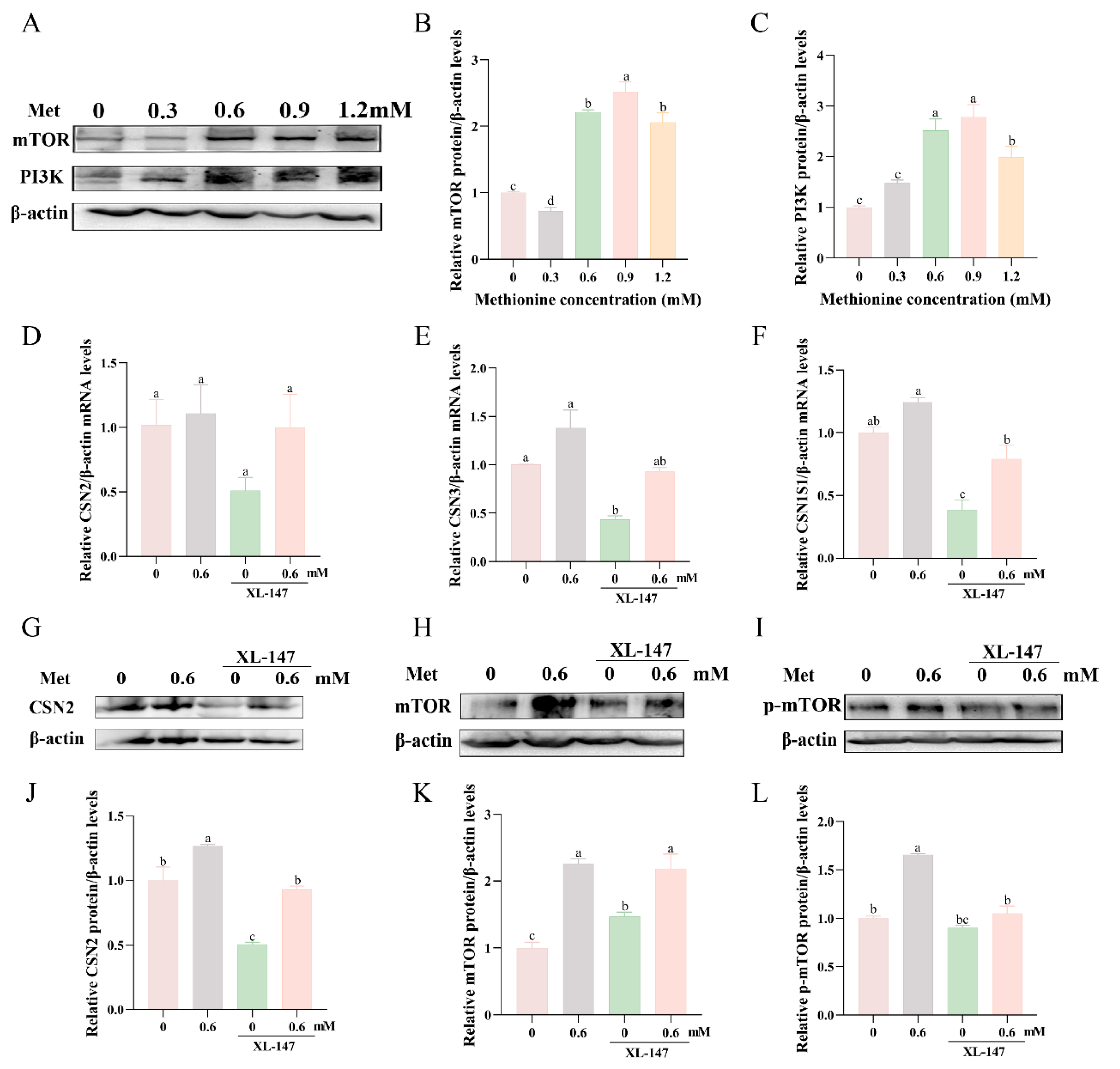 Metabolites 13 01149 g005