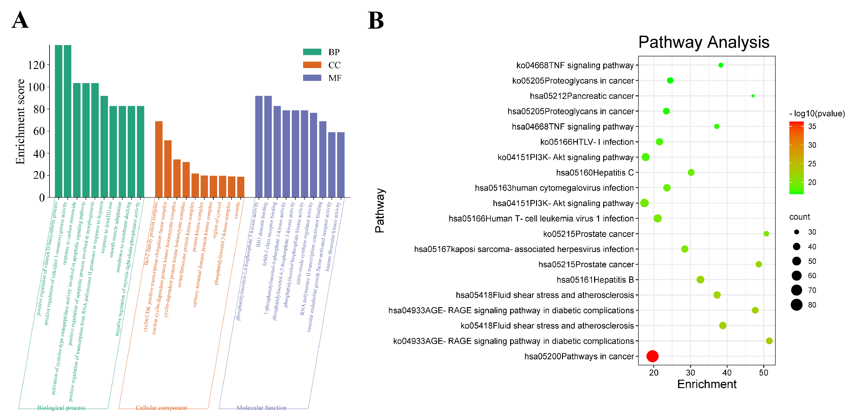 Metabolites 13 01151 g003