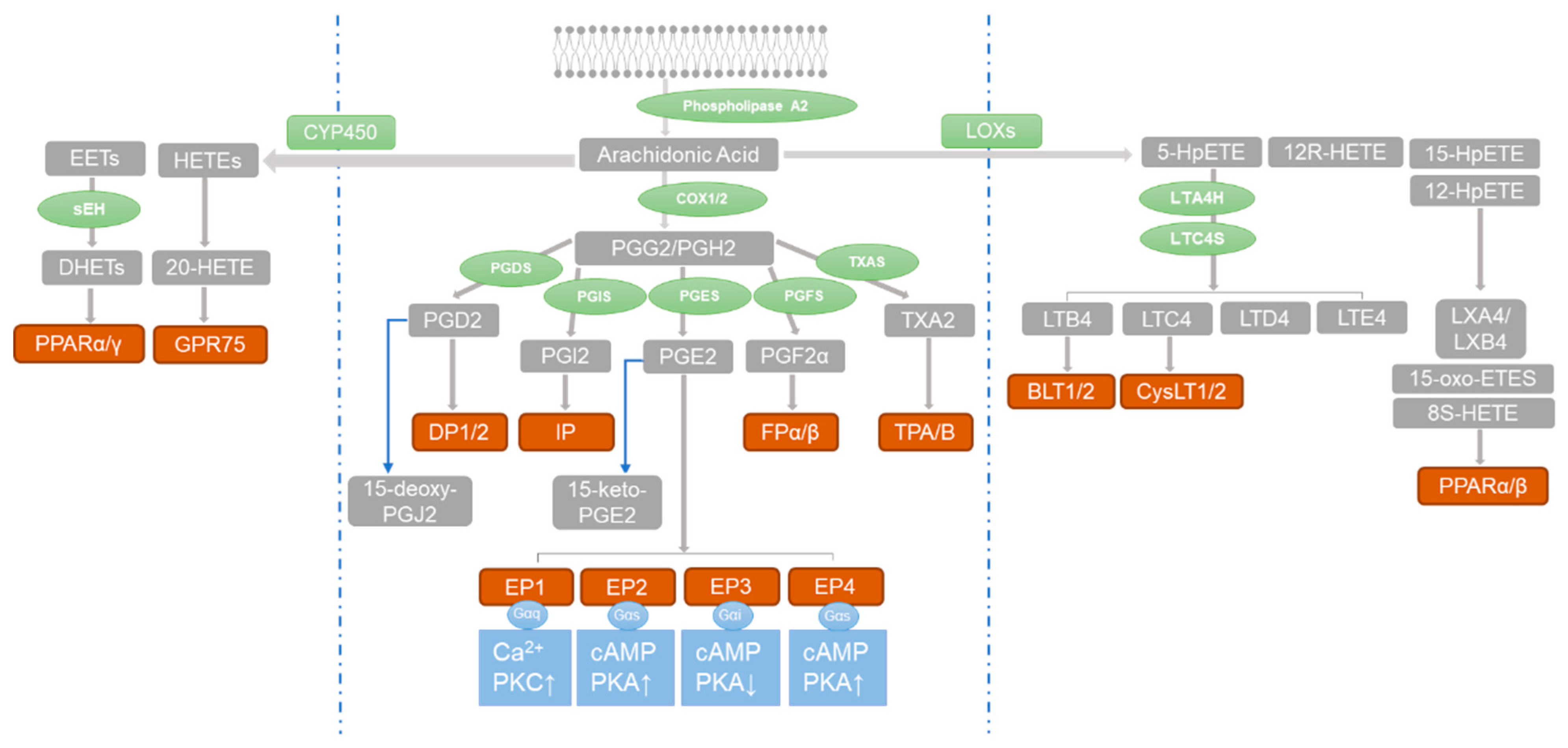 Metabolites 13 01152 g001 Metabolites 13 01152 g001