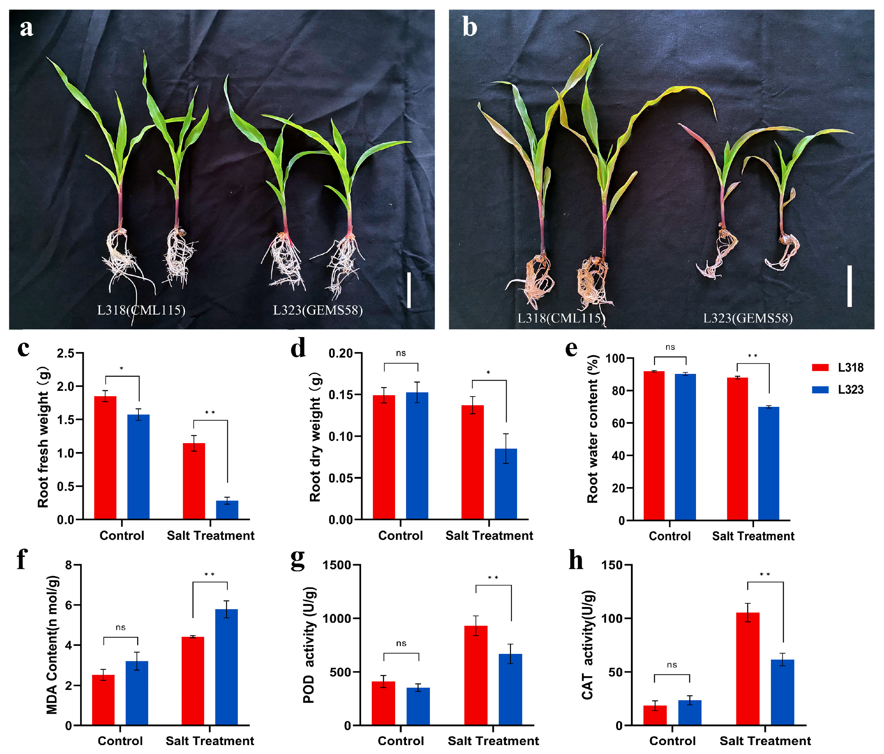 Metabolites 13 01155 g001
