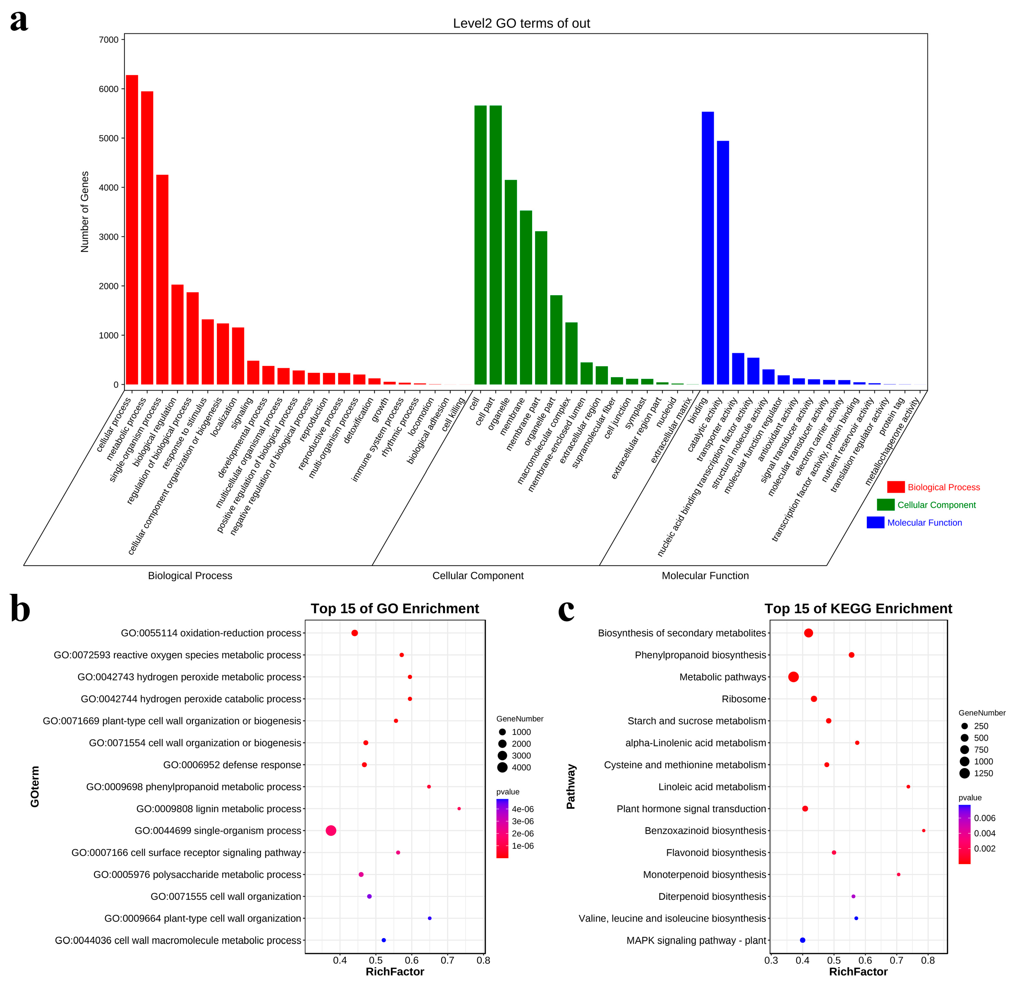 Metabolites 13 01155 g003