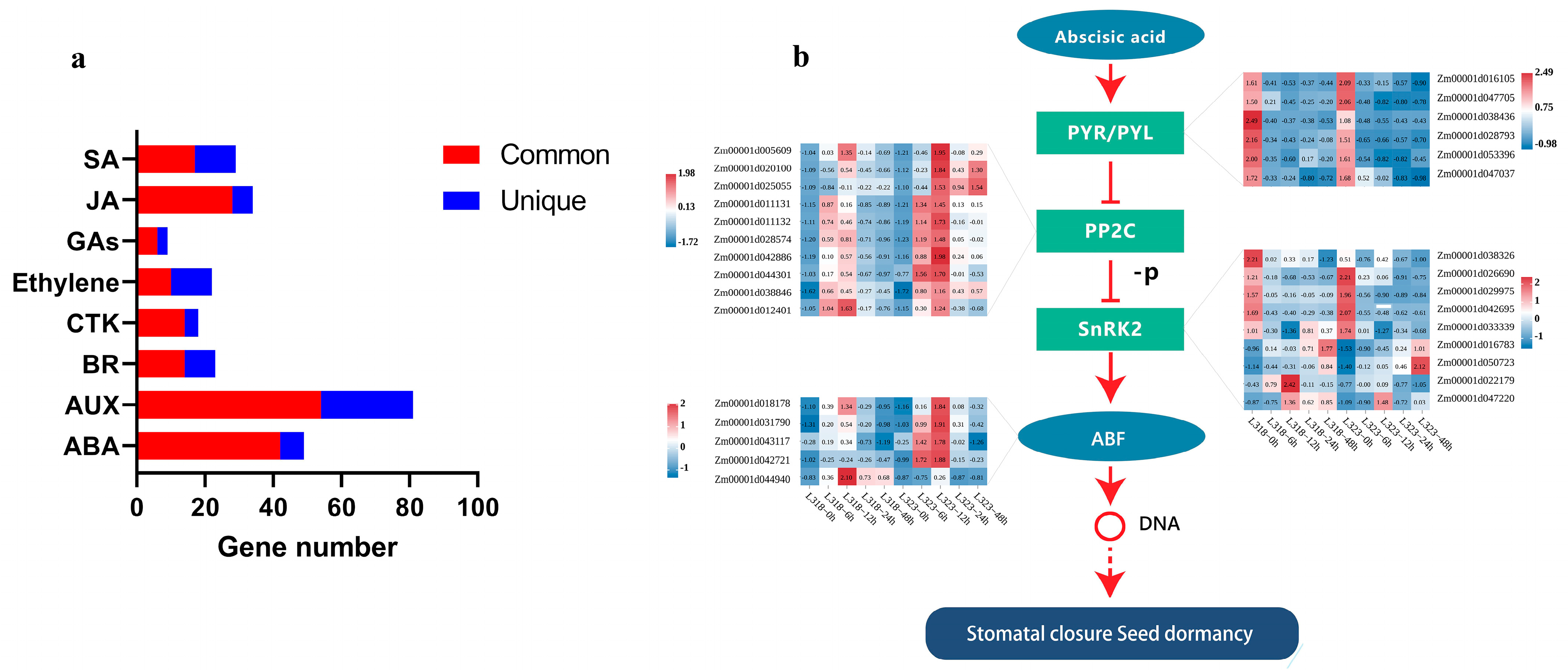 Metabolites 13 01155 g006