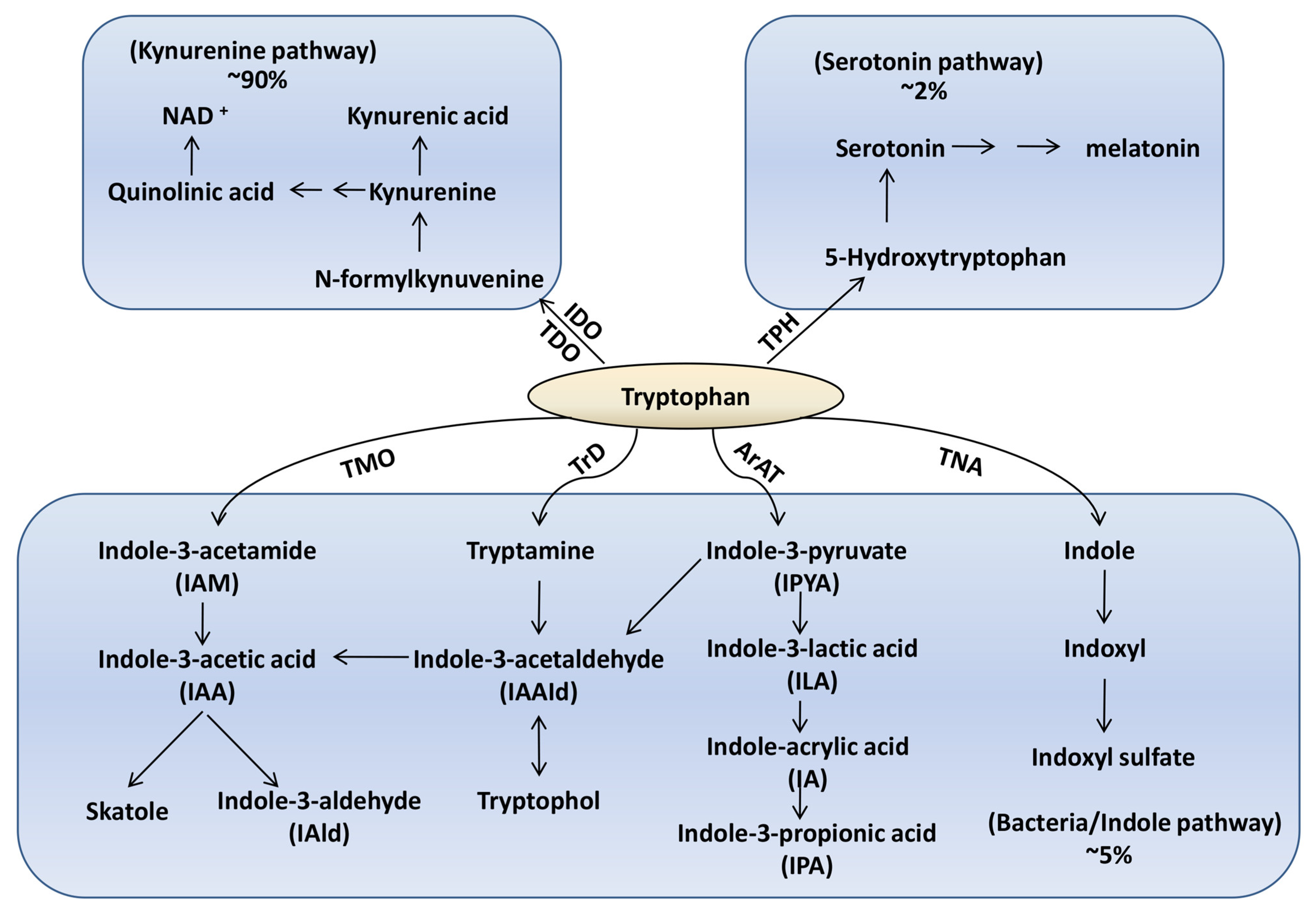 Metabolites 13 01166 g001