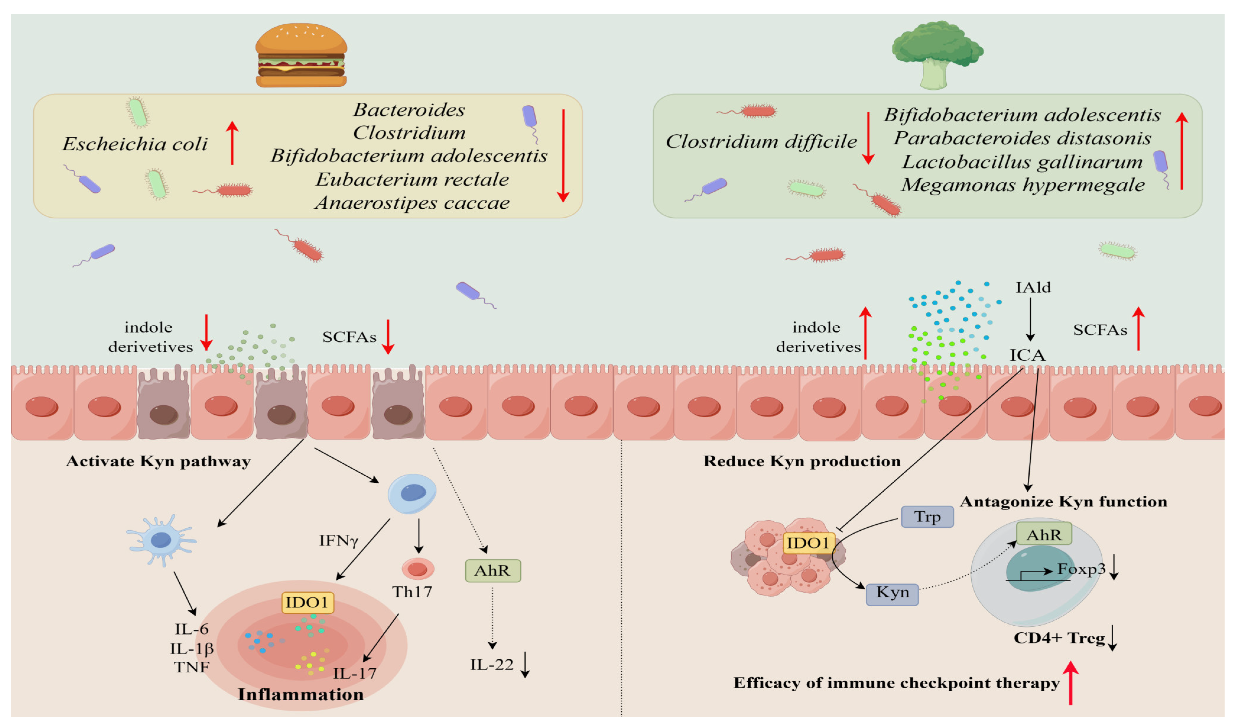Metabolites 13 01166 g002