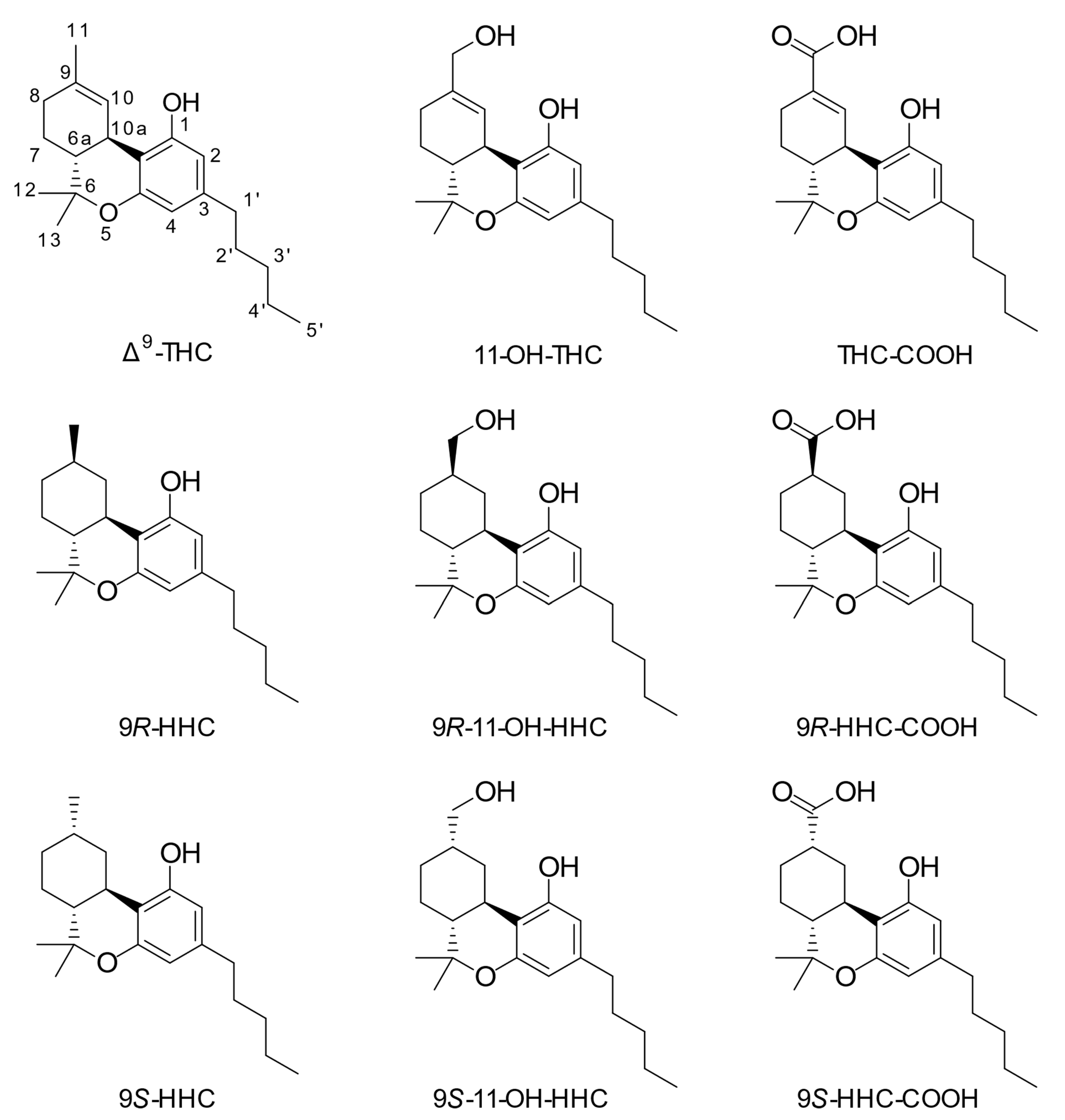 Metabolites 13 01169 g001