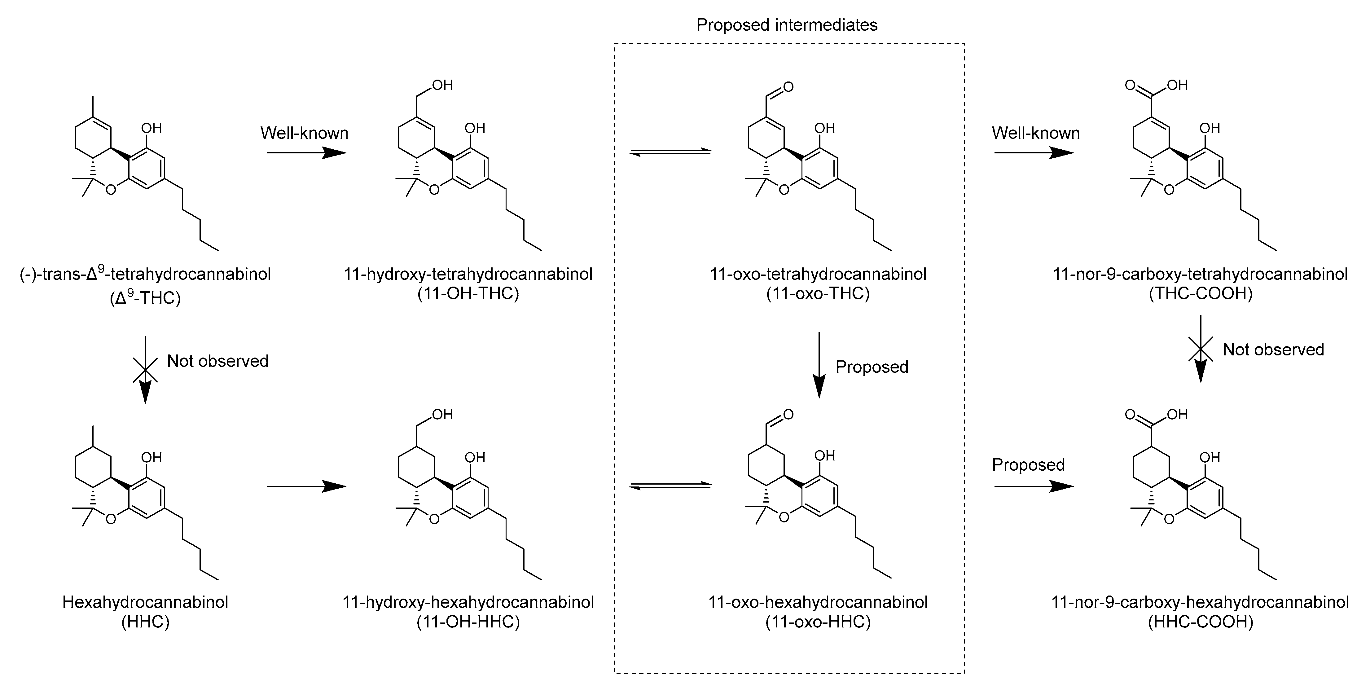 Metabolites 13 01169 g005