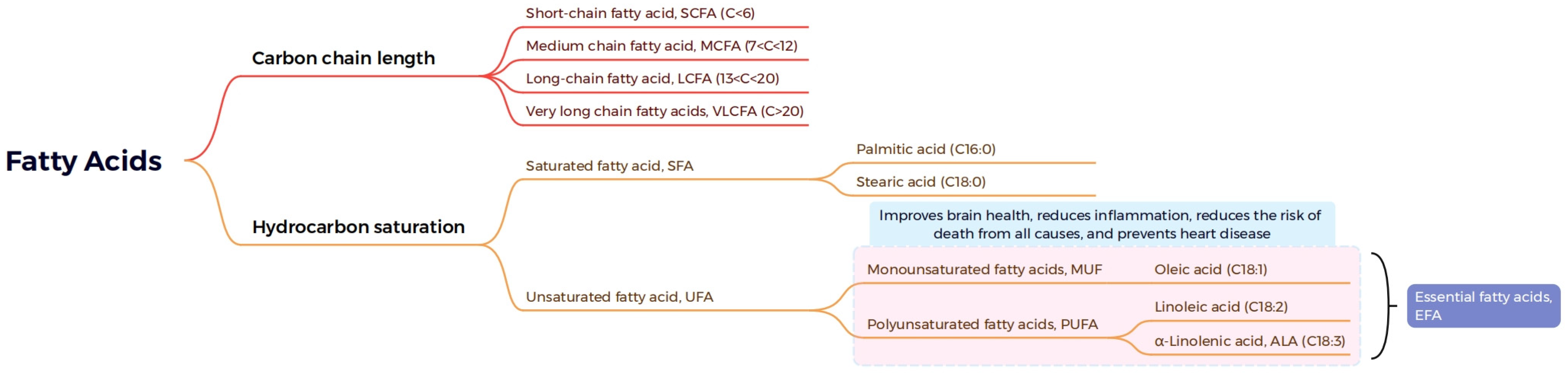 Metabolites 13 01170 g002 Metabolites 13 01170 g002