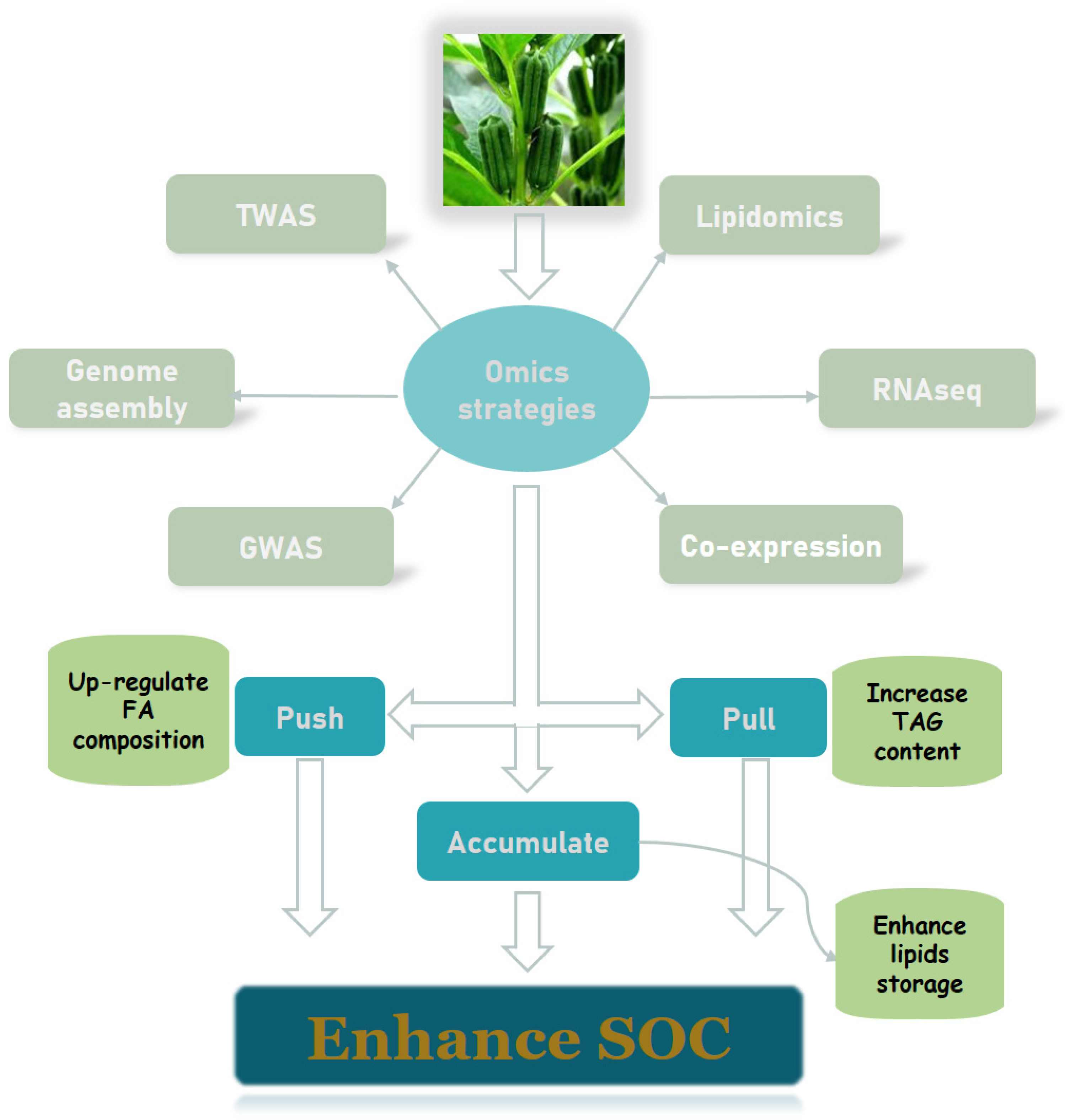 Metabolites 13 01170 g004 Metabolites 13 01170 g004