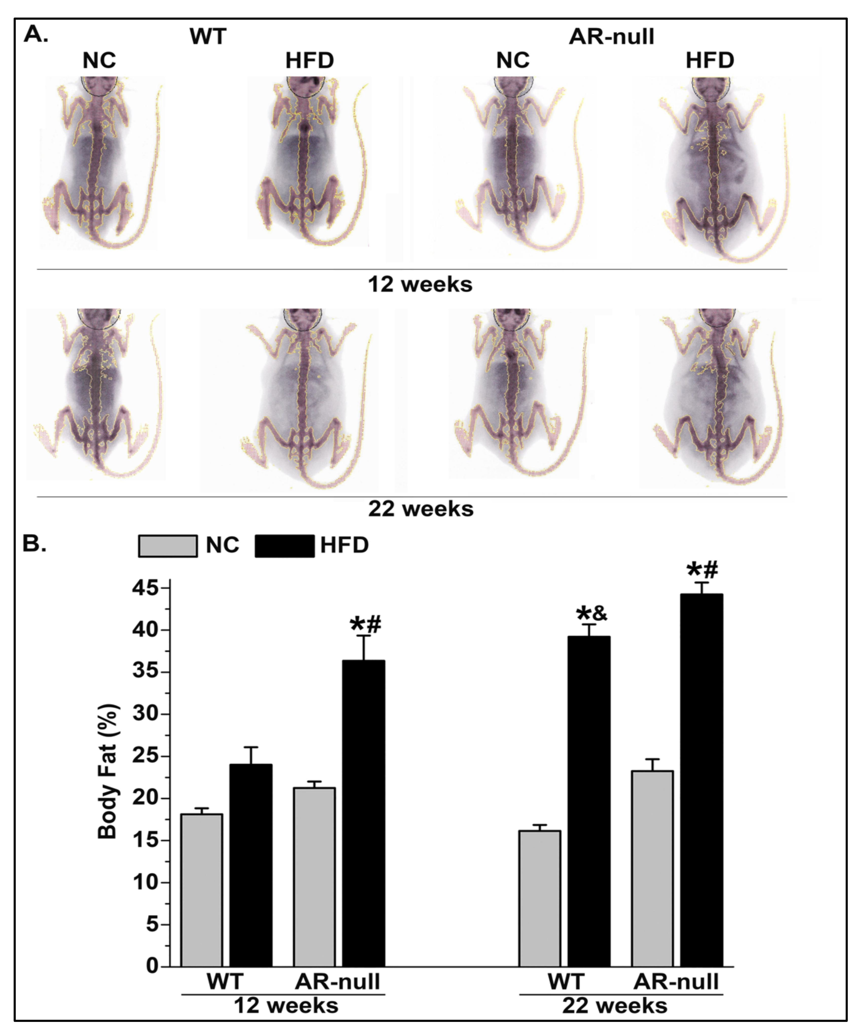 Metabolites 13 01172 g001 Metabolites 13 01172 g001