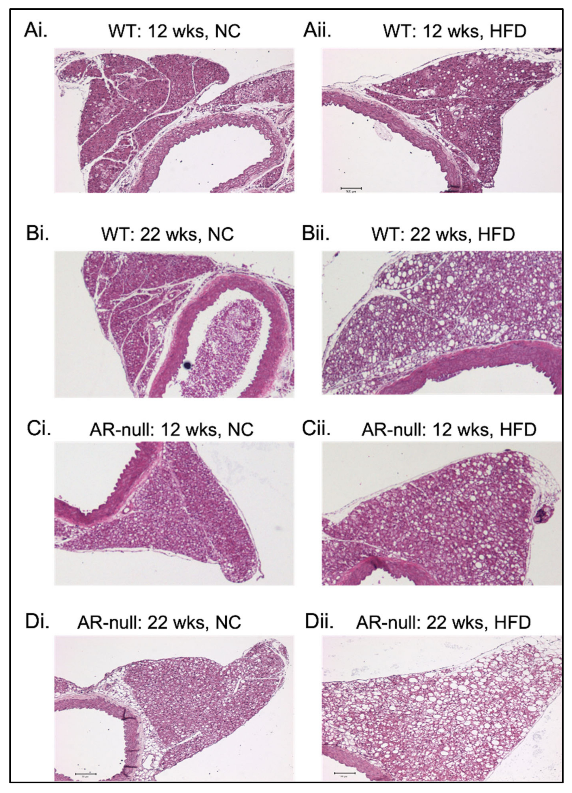 Metabolites 13 01172 g003 Metabolites 13 01172 g003