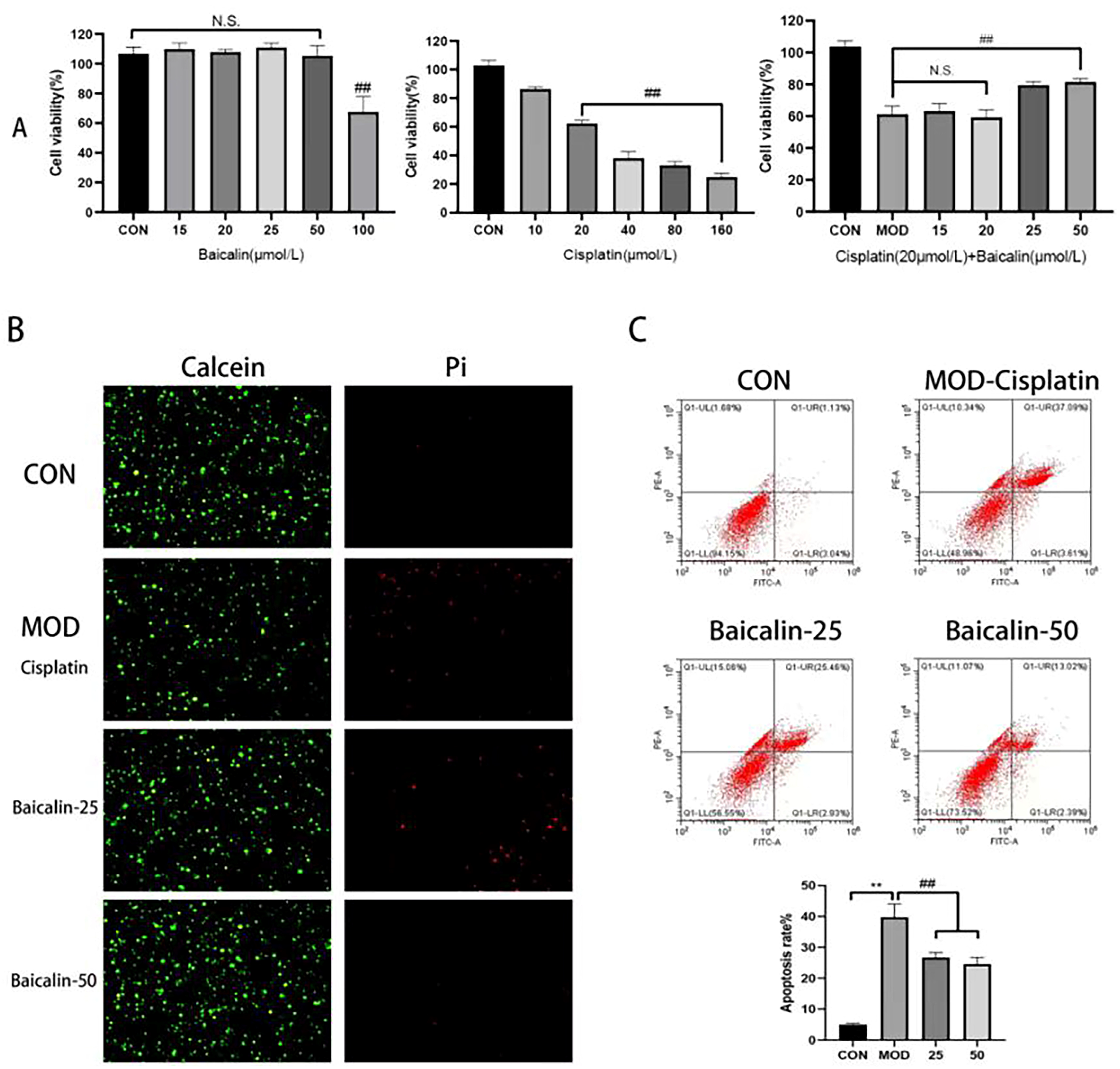 Metabolites 13 01173 g001