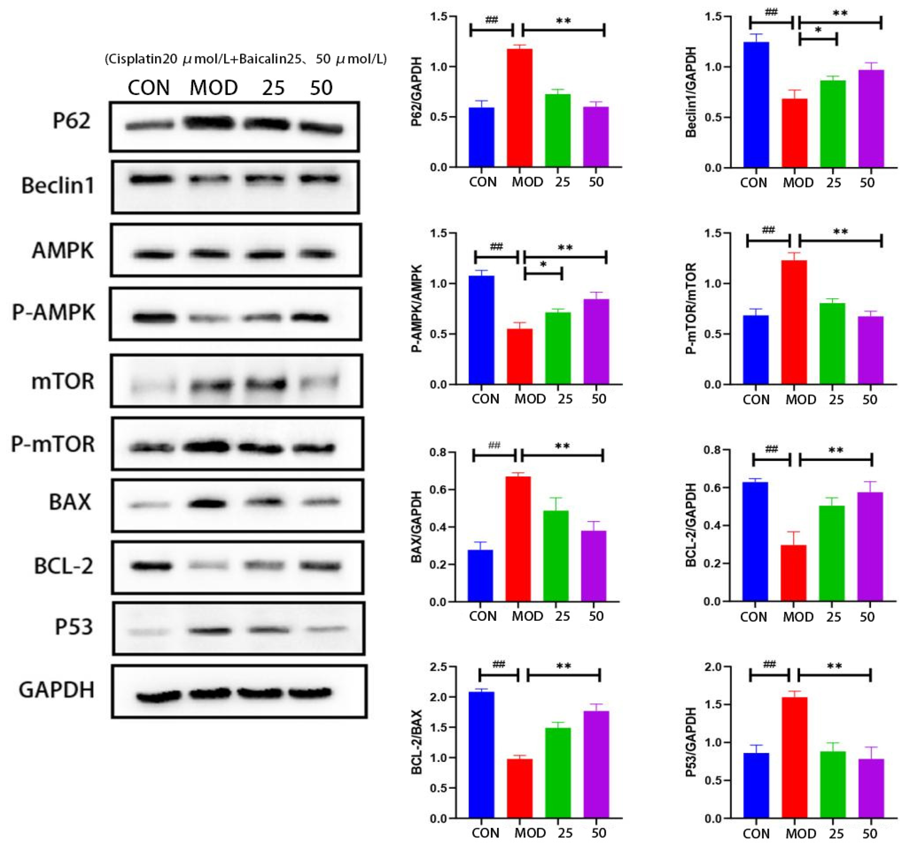 Metabolites 13 01173 g003