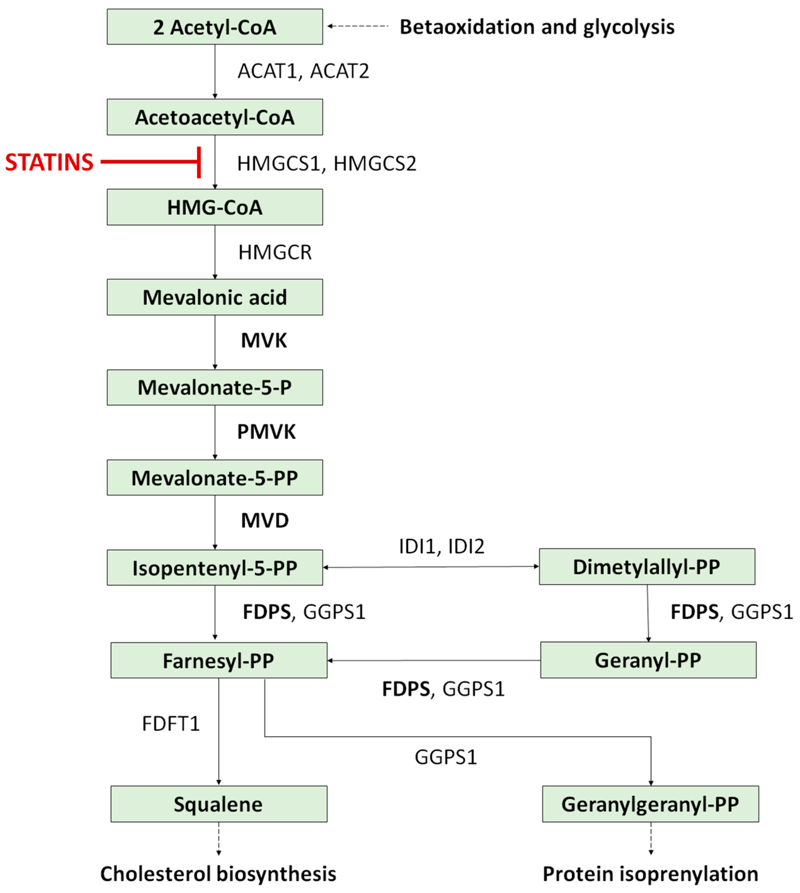 Metabolites 13 01176 g005