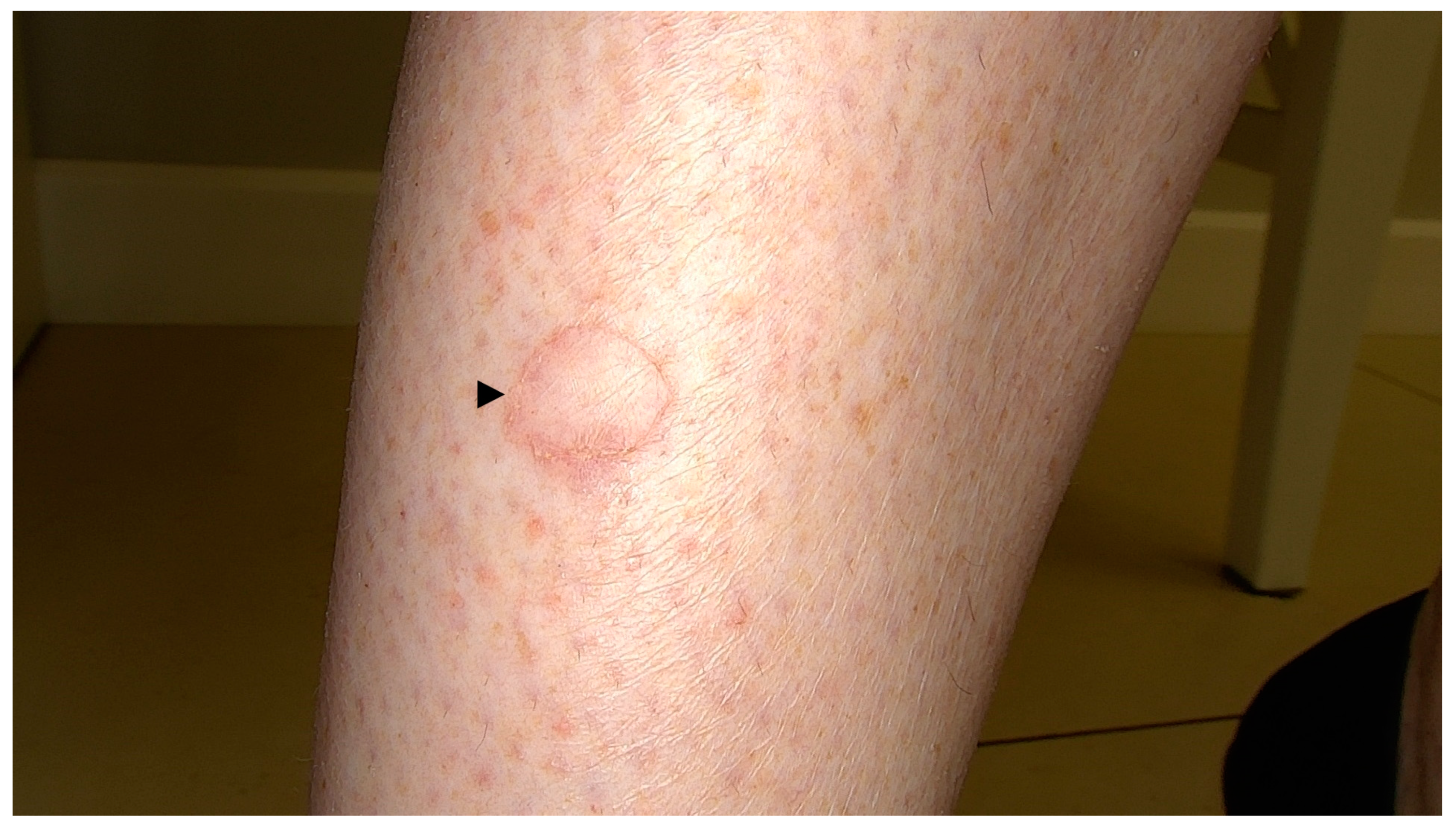 Metabolites 13 01176 g007