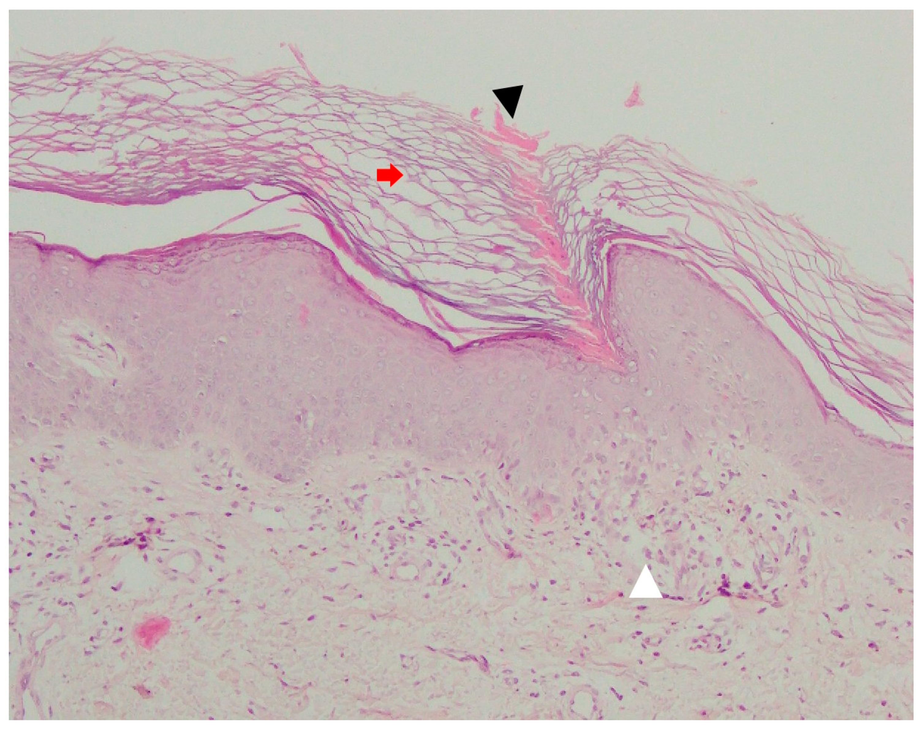 Metabolites 13 01176 g012