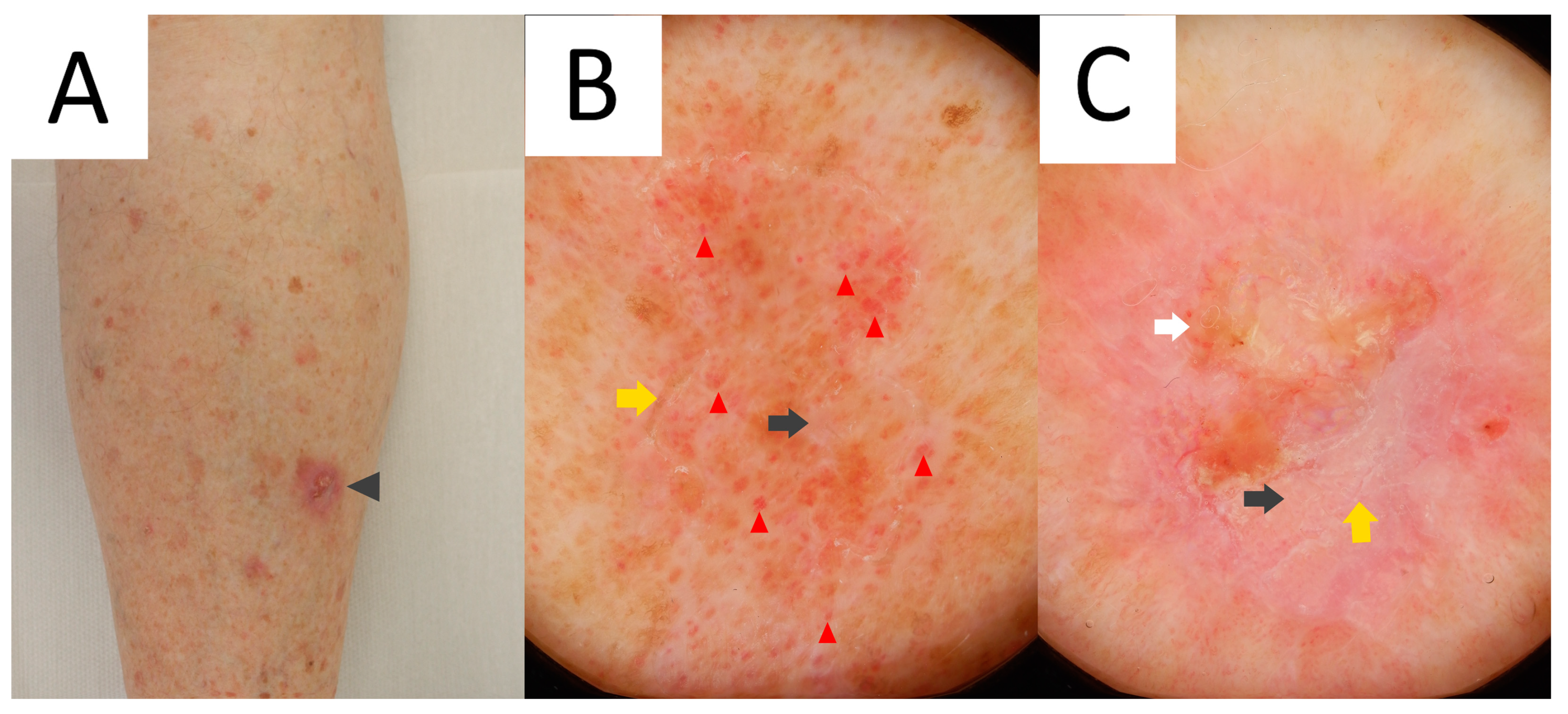 Metabolites 13 01176 g018