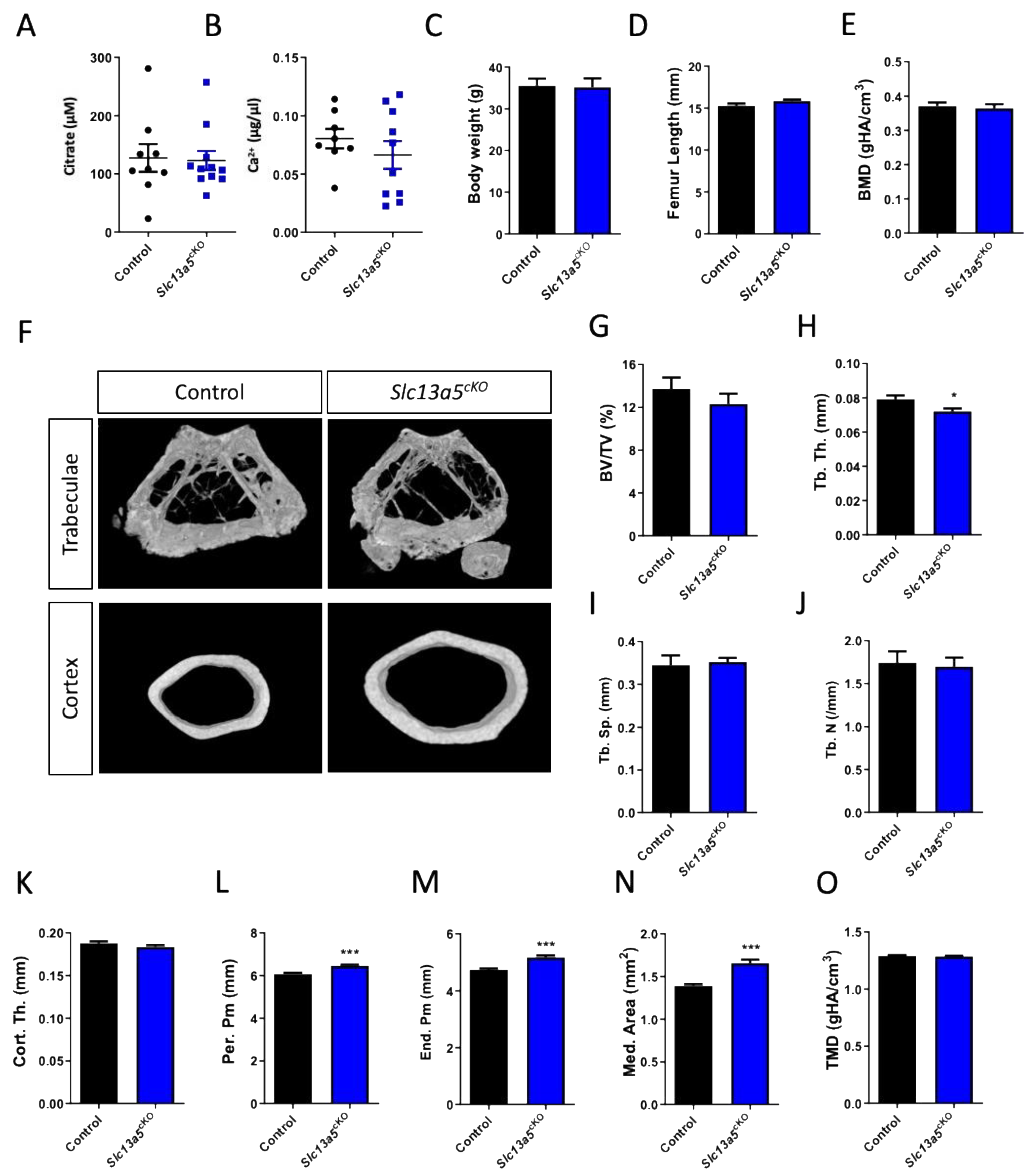 Metabolites 13 01186 g003
