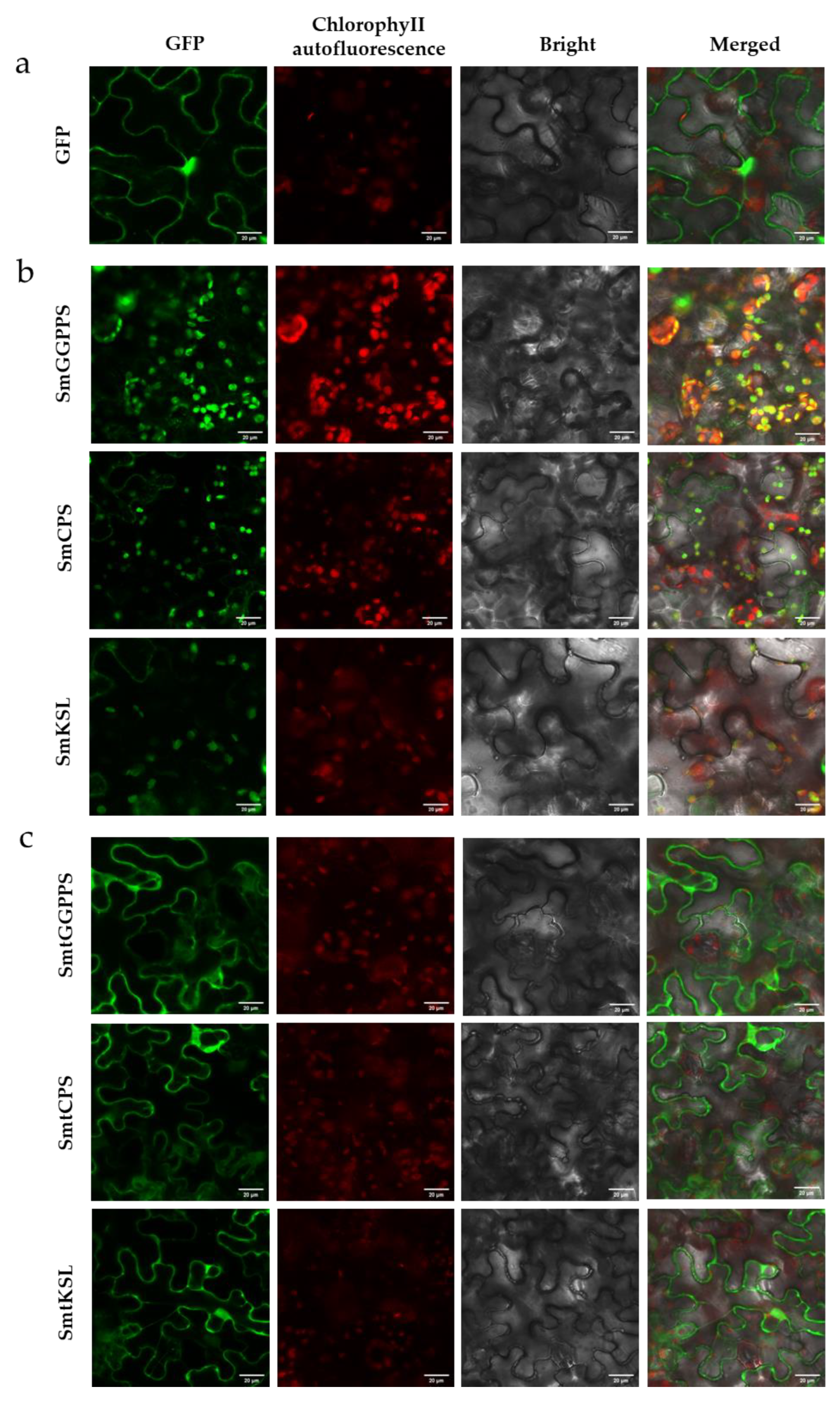 Metabolites 13 01188 g003