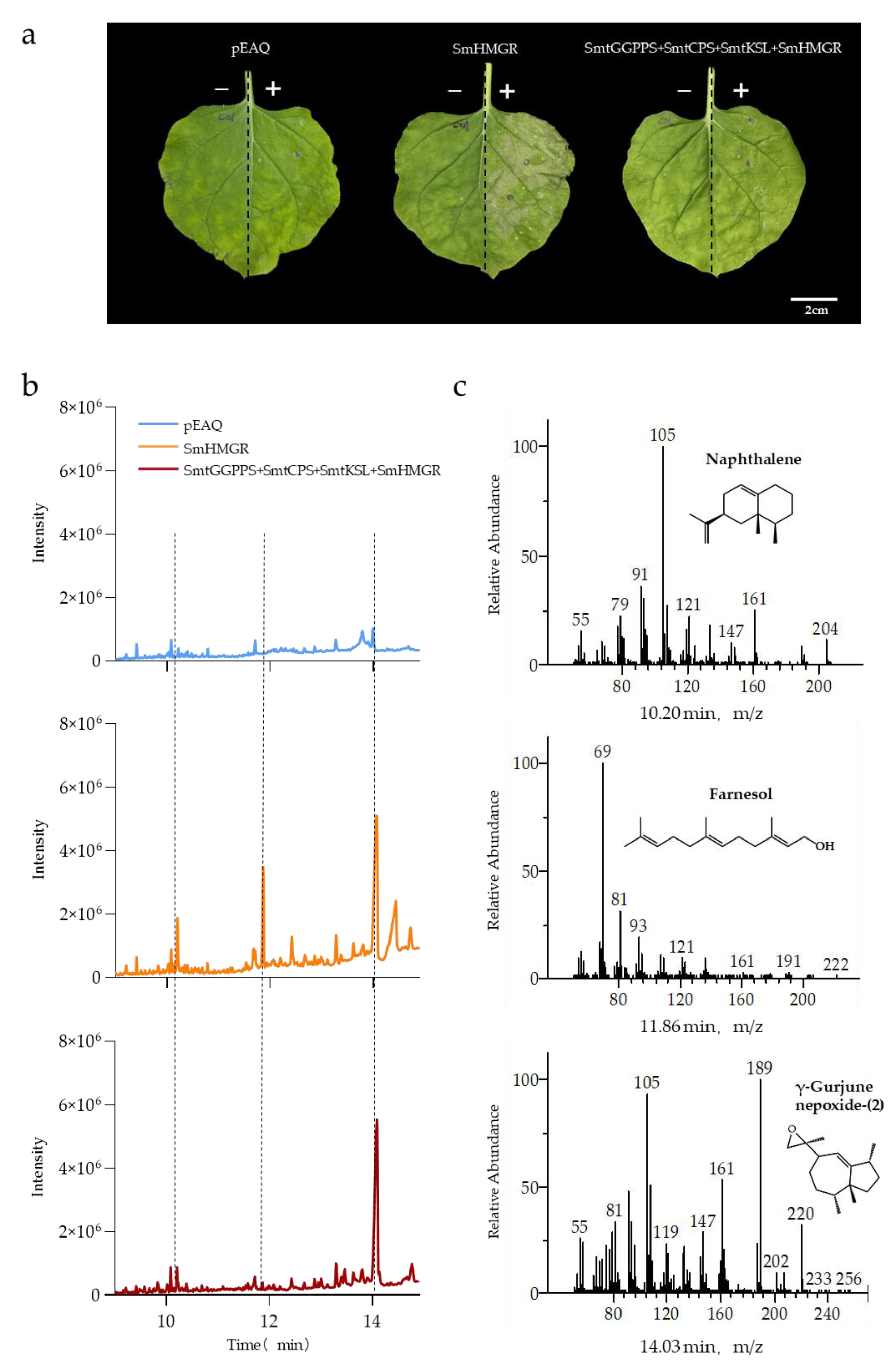 Metabolites 13 01188 g005