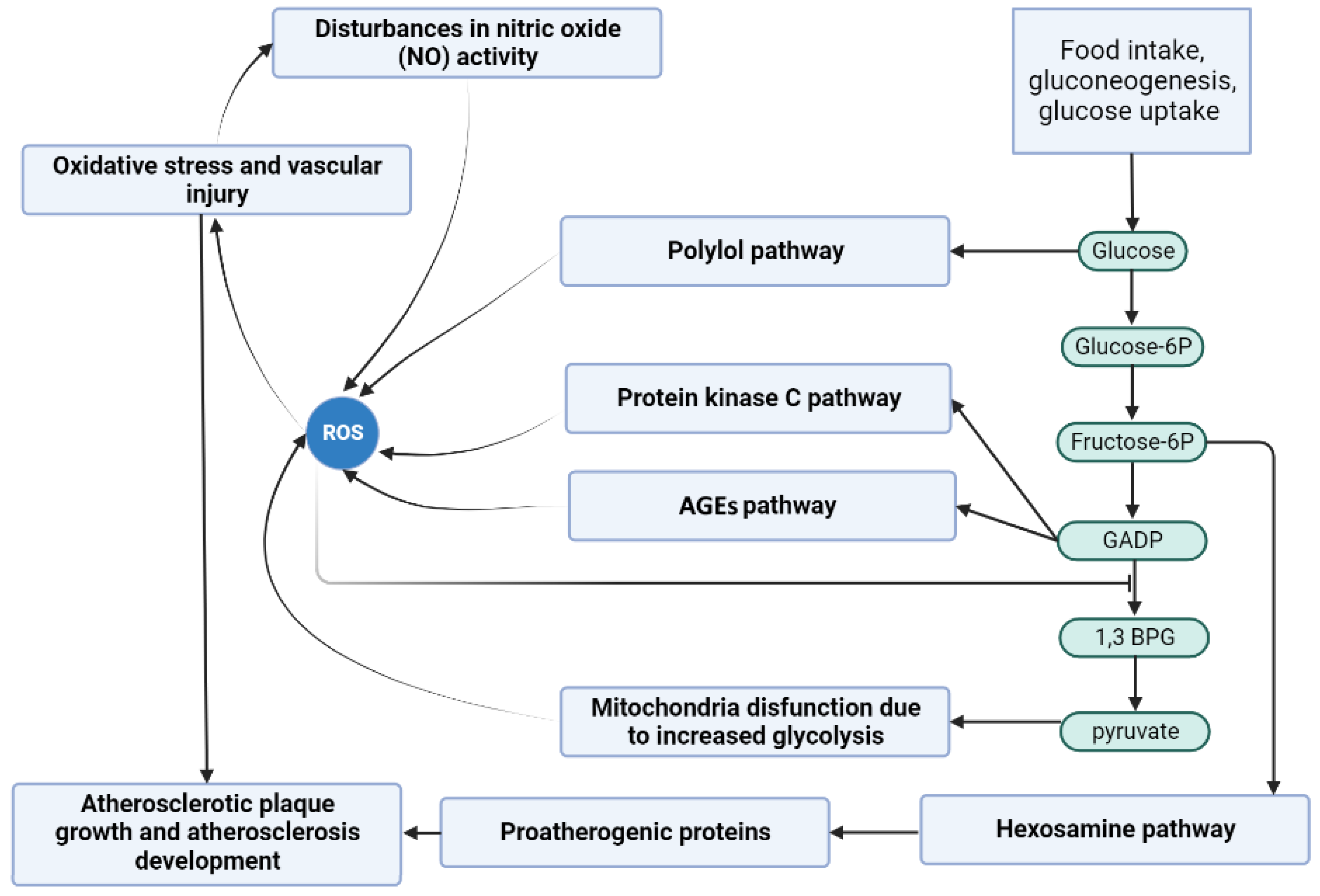 Metabolites 13 01191 g001