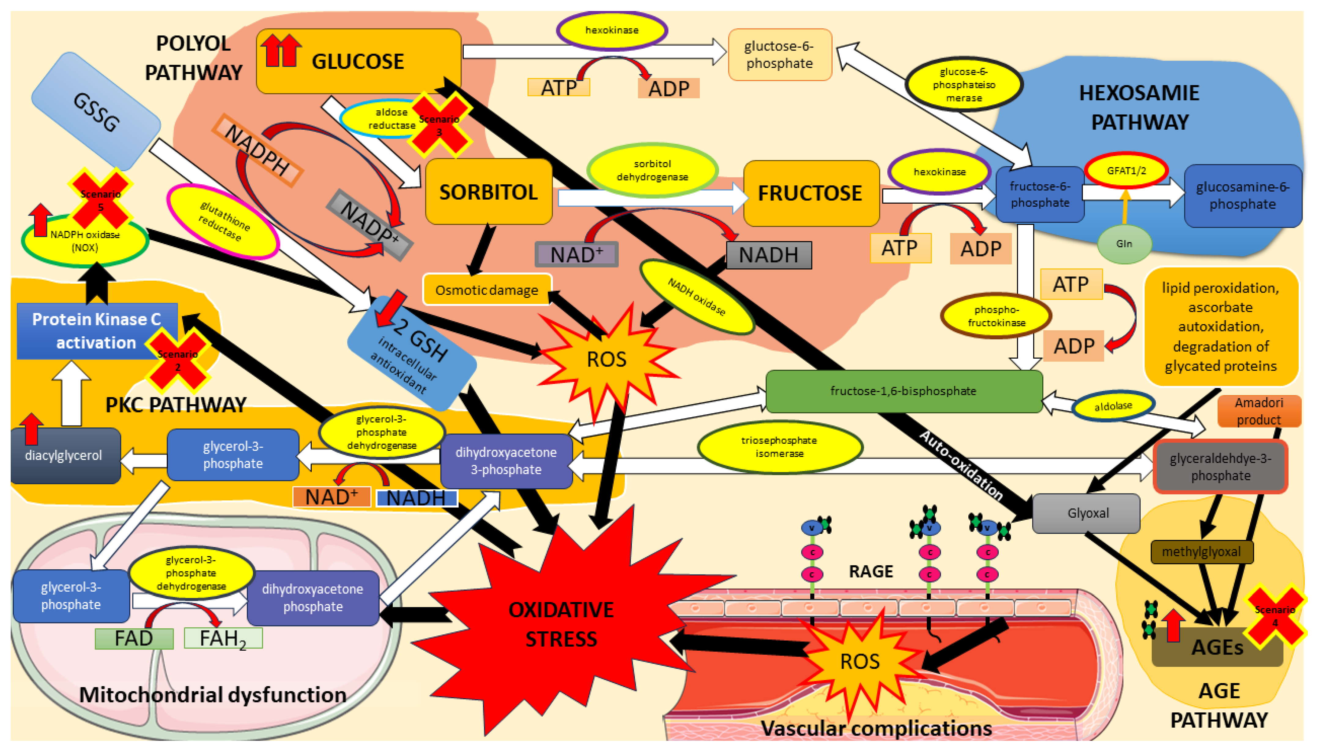 Metabolites 13 01191 g008