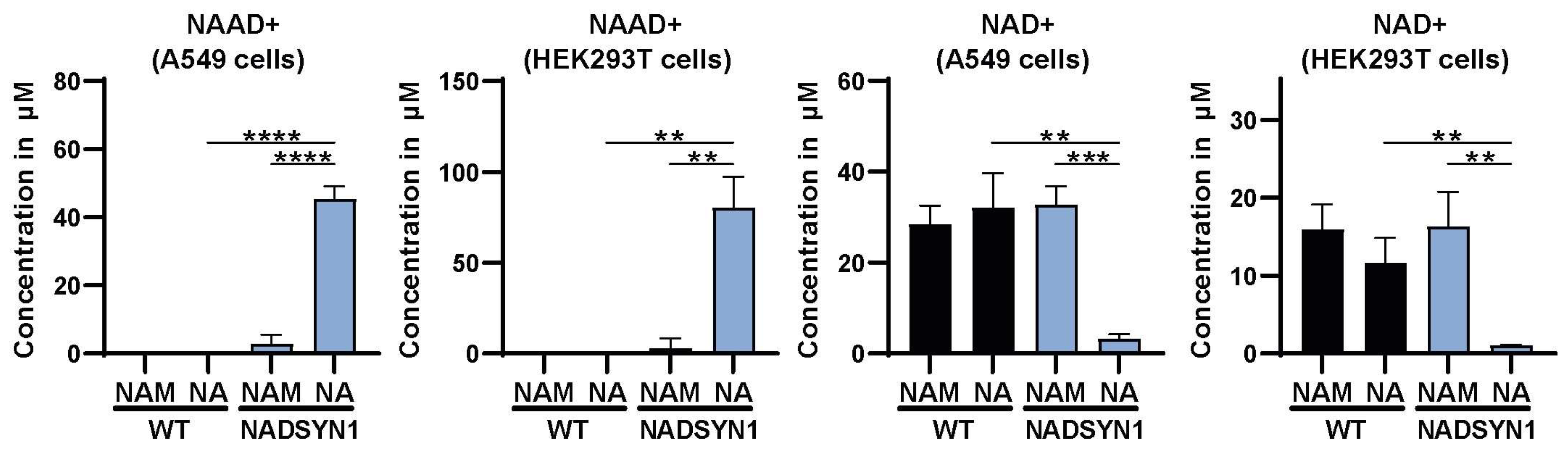 Metabolites 13 01196 g002