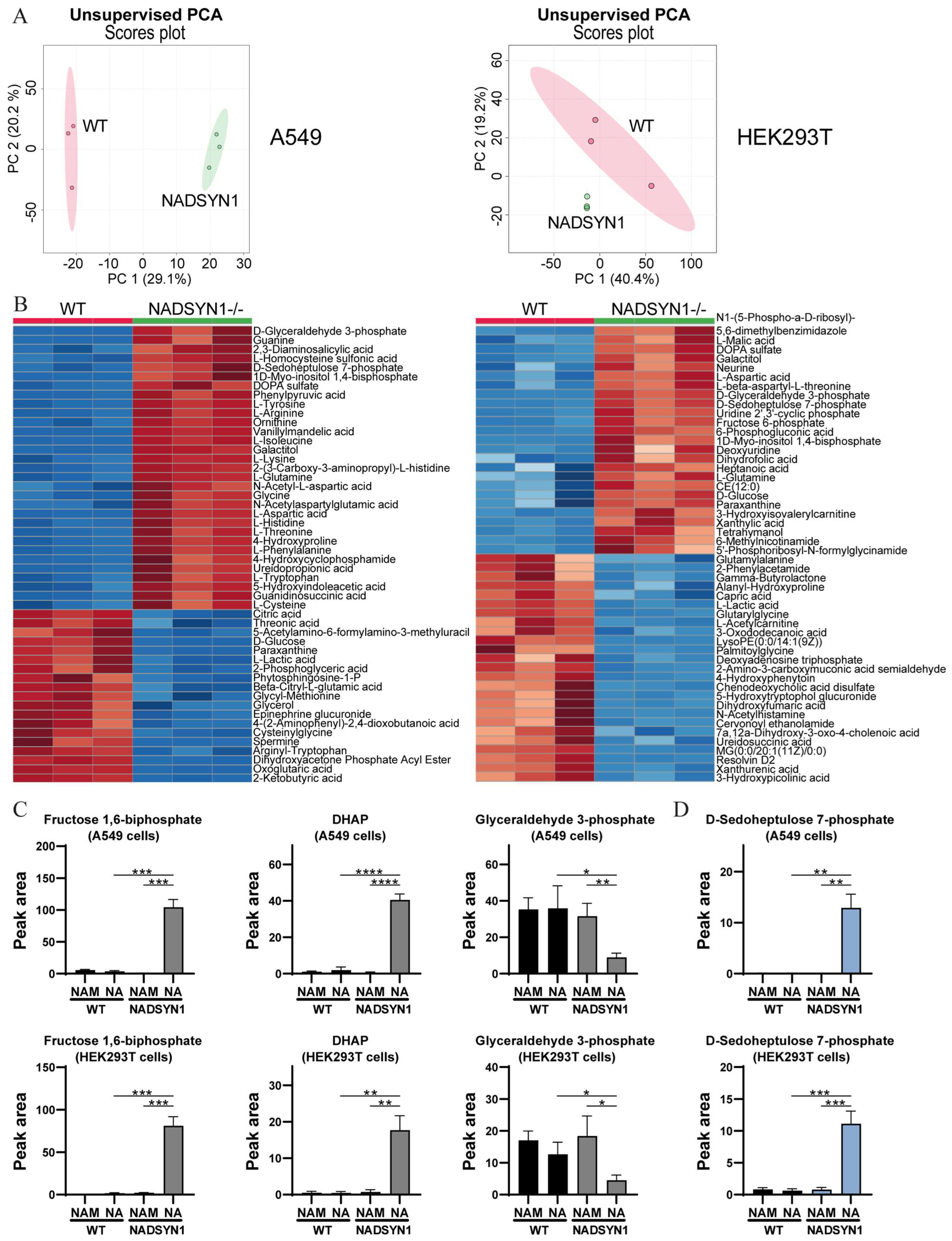 Metabolites 13 01196 g003
