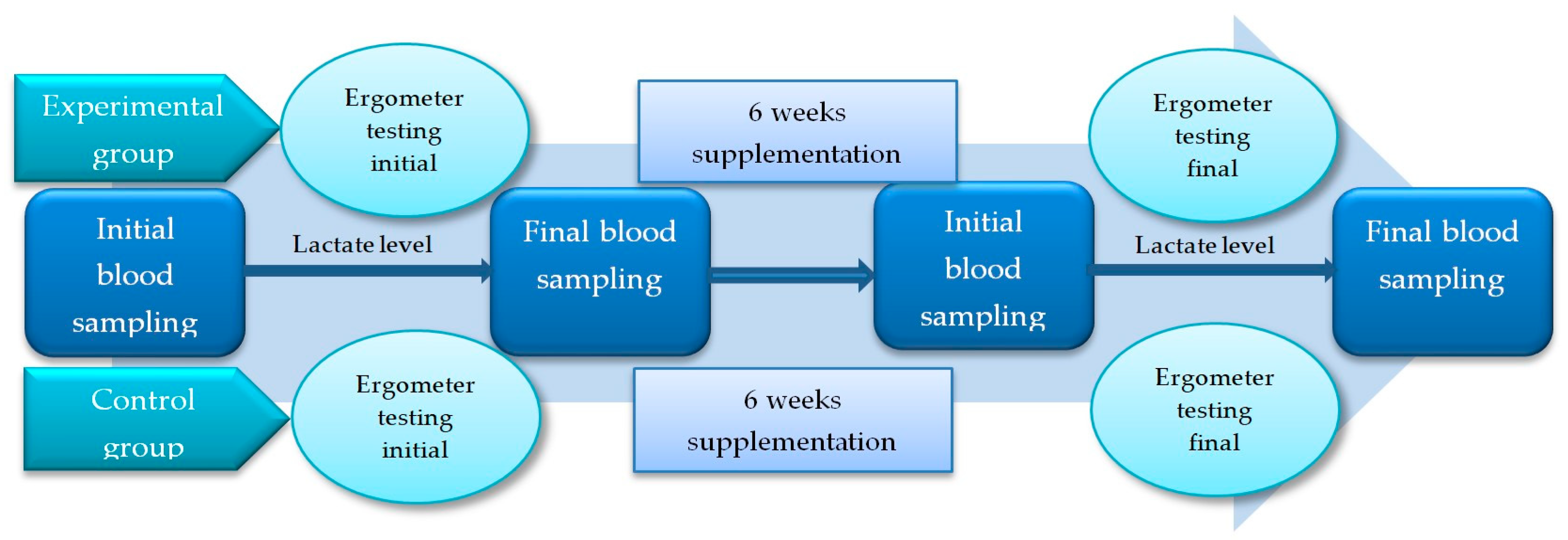 Metabolites 13 01200 g001