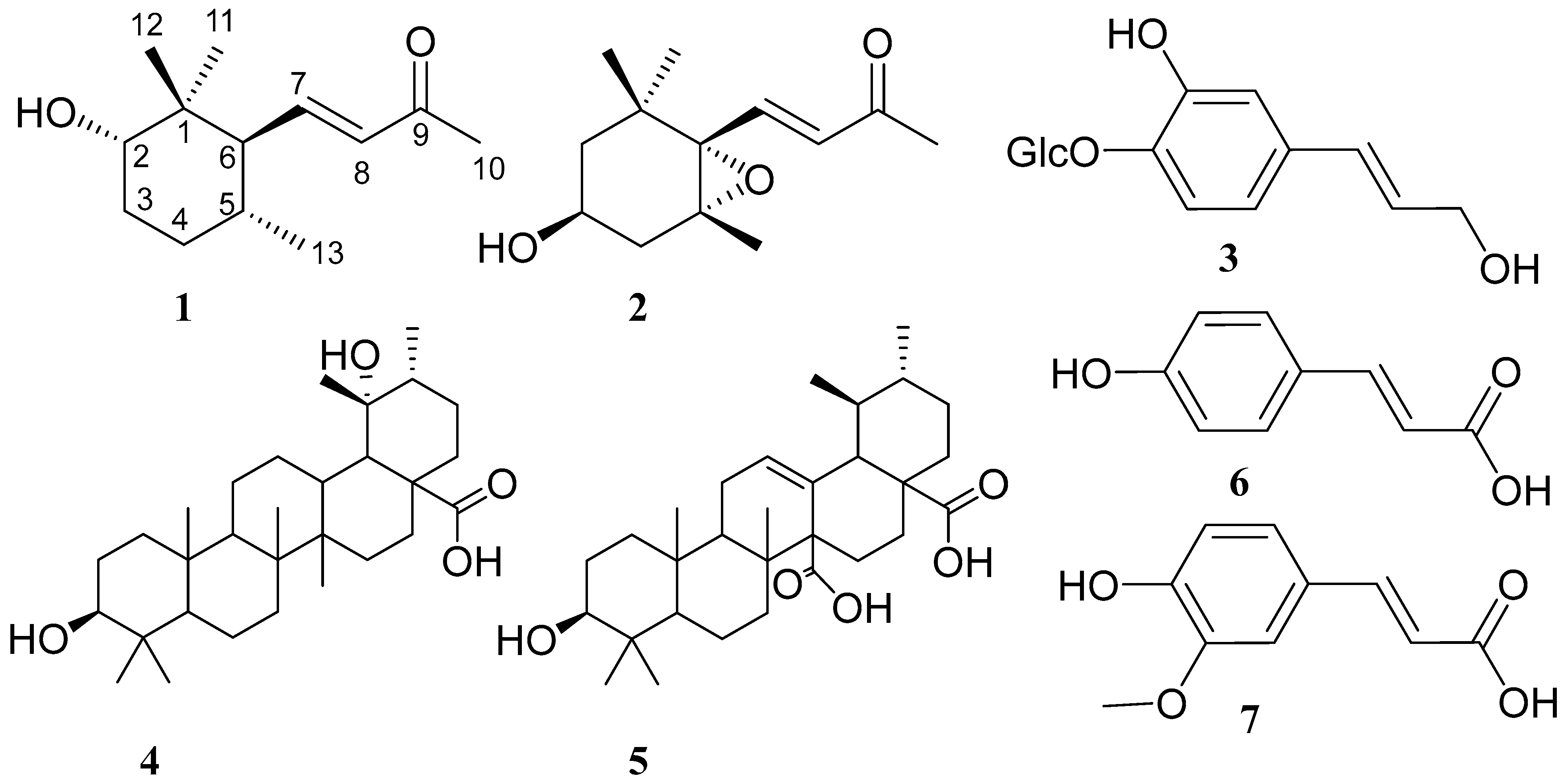 Metabolites 13 01202 g001