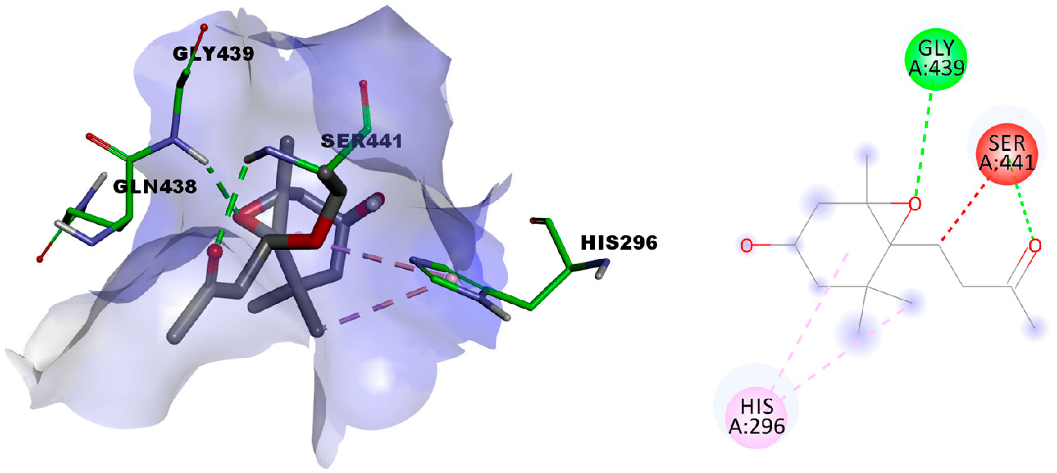 Metabolites 13 01202 g007