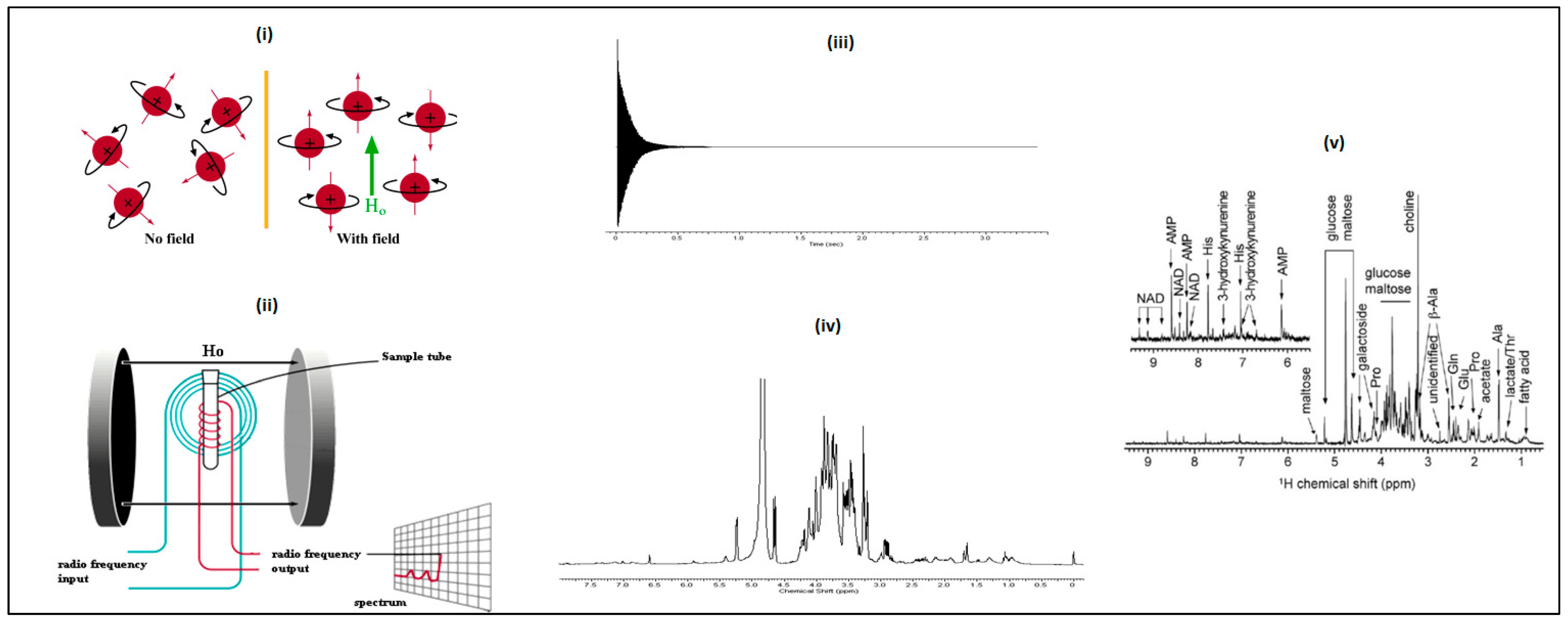 Metabolites 13 01203 g004